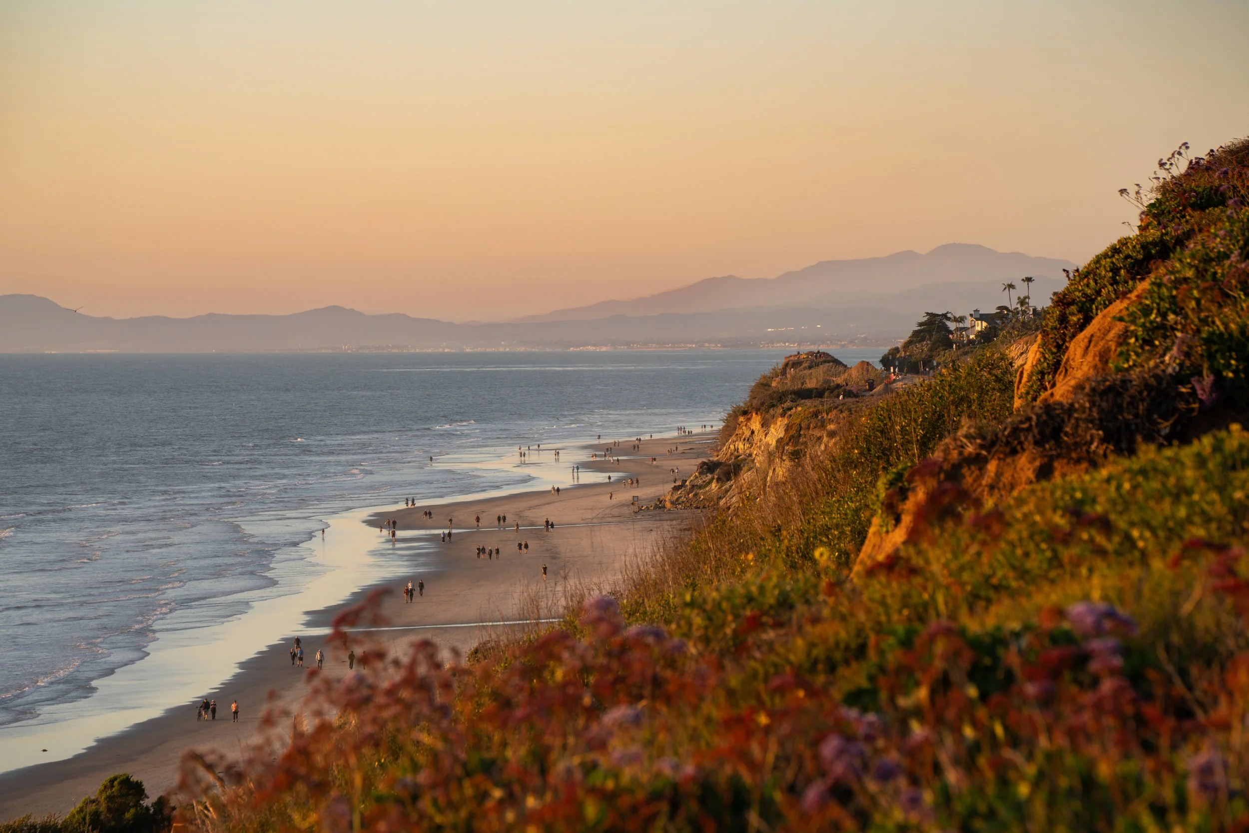 Beach scene at sunset with people walking along shoreline, cliffs covered with bushes and flowers on the right, mountains in the background, calm ocean waves, soft pastel sky.