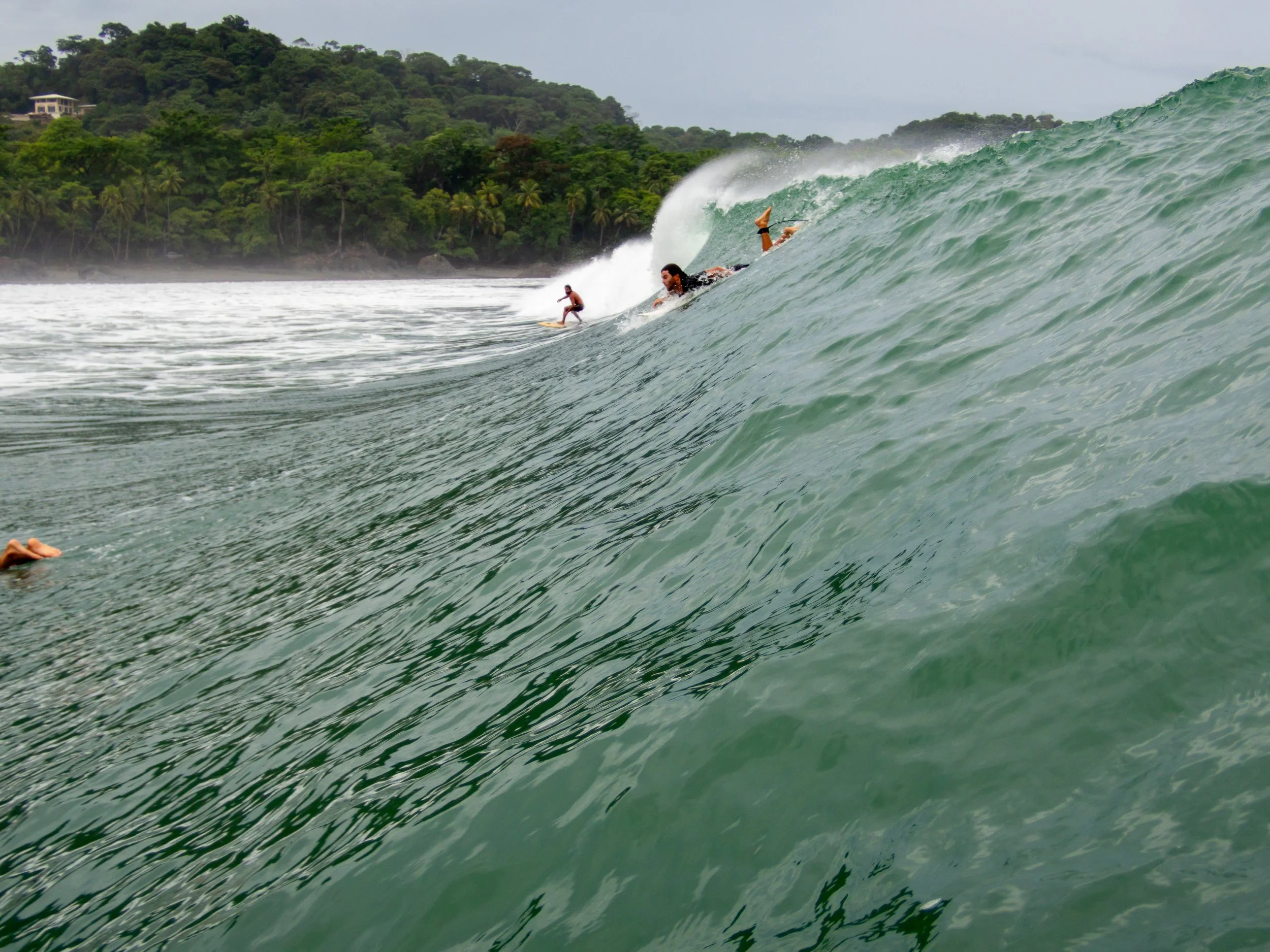 Surfers riding a large ocean wave near a forested coastline