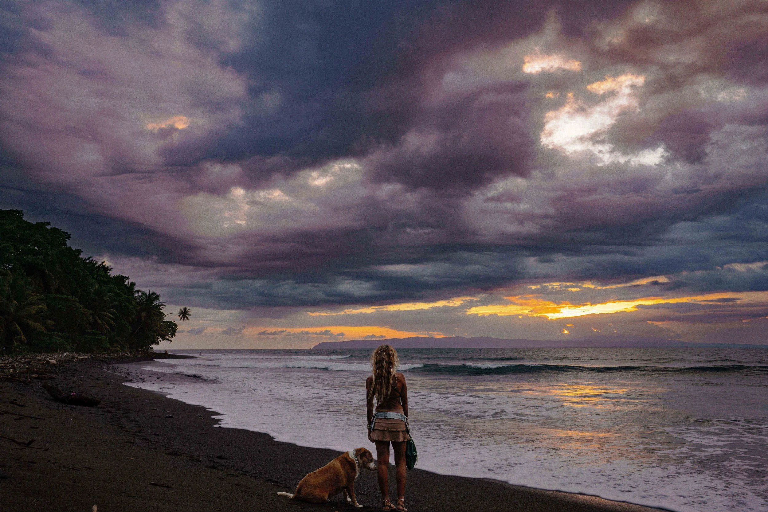 A person with long hair standing on a dark sandy beach at sunset, accompanied by a dog. The sky is cloudy with shades of dark purple, gray, and hints of orange near the horizon, with trees lining the left side of the beach.