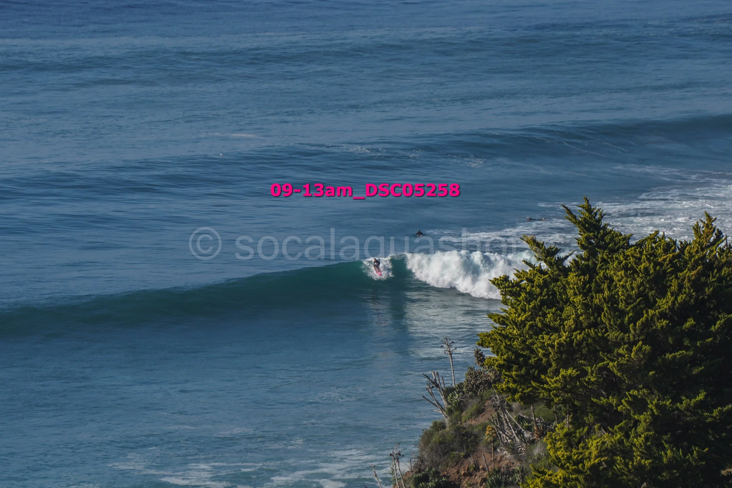 A surfer riding a wave near a coastline with lush green trees in the foreground.