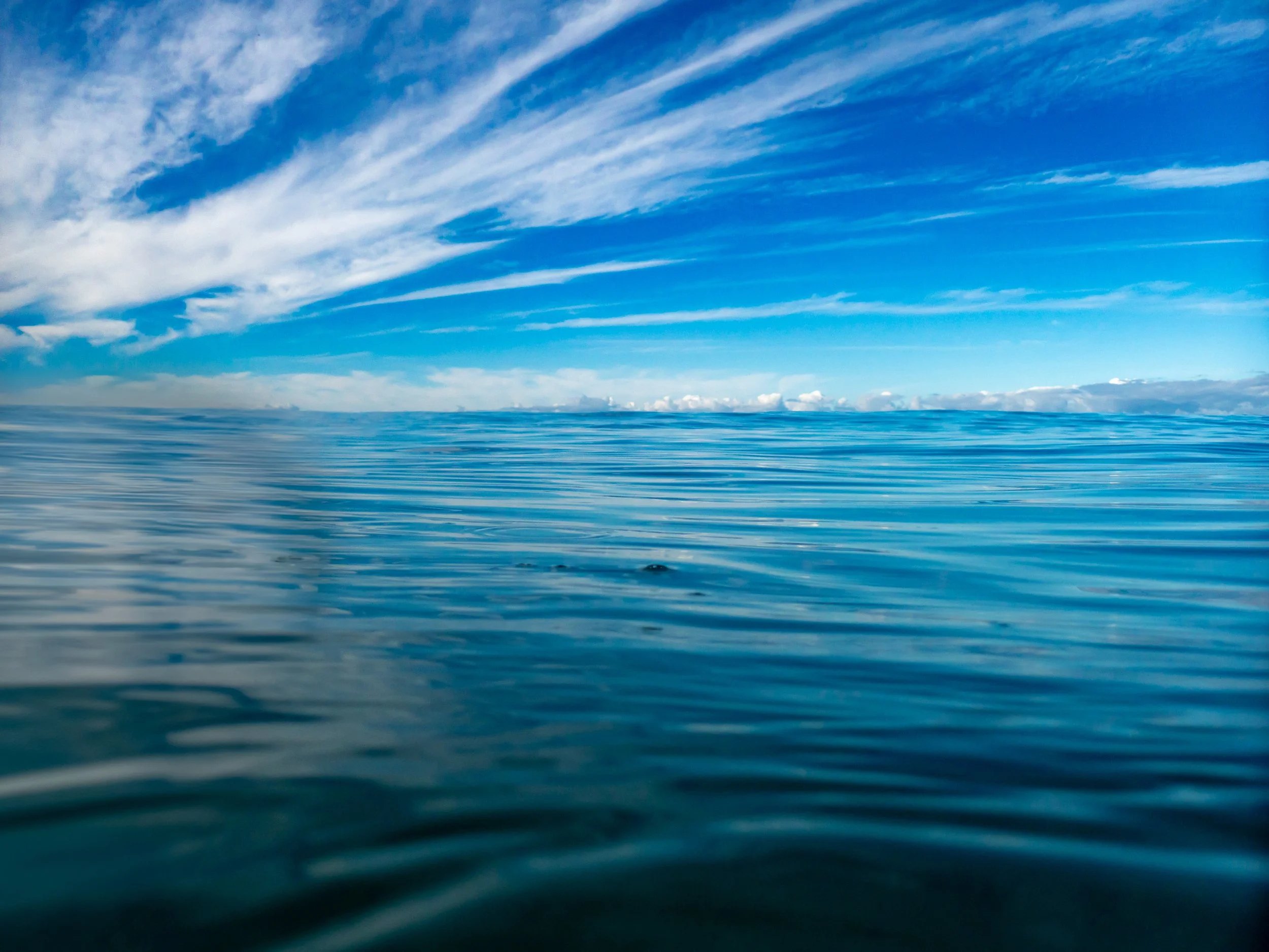 Open ocean with calm blue water and a partly cloudy sky.