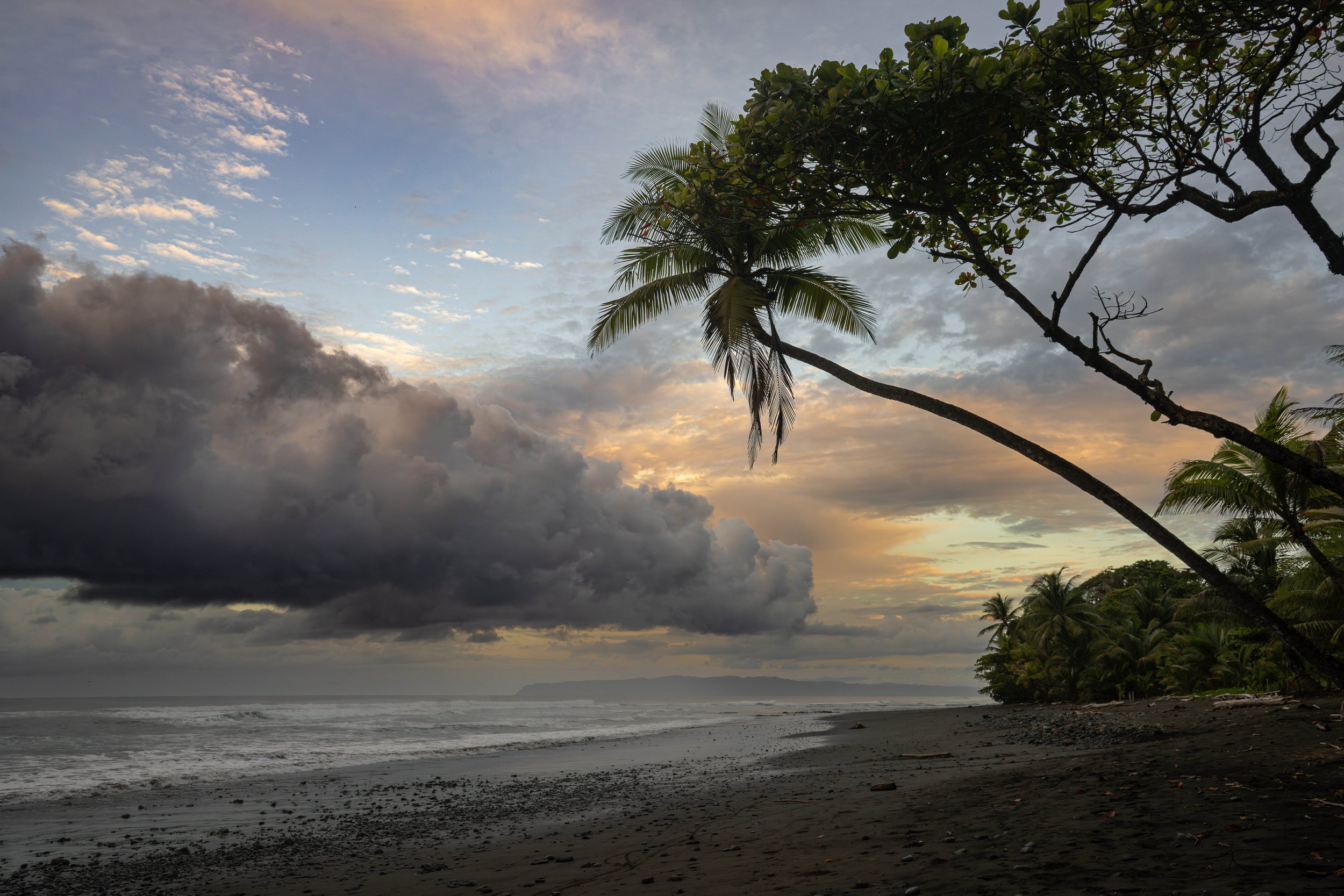 A tropical beach scene at dusk with palm trees, cloudy sky, and the ocean in the background.