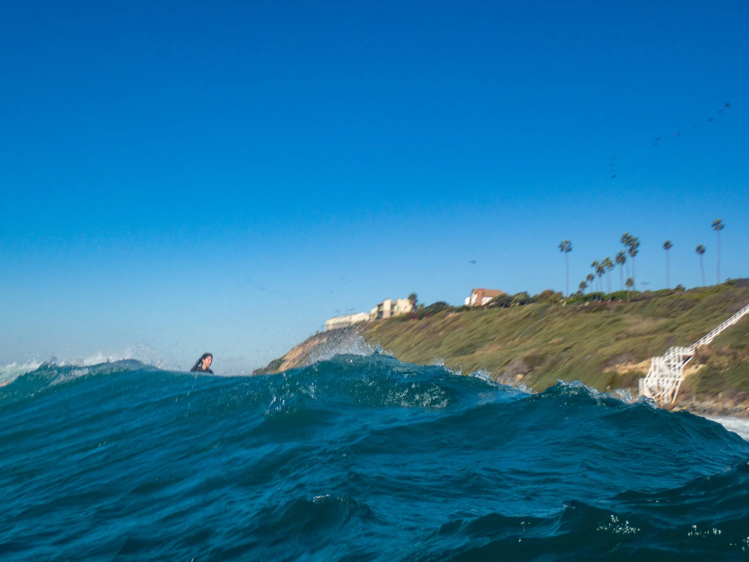 View of the ocean with a wave in the foreground, a swimmer in the water on the left, and a cliff with houses and palm trees in the background under a clear blue sky.