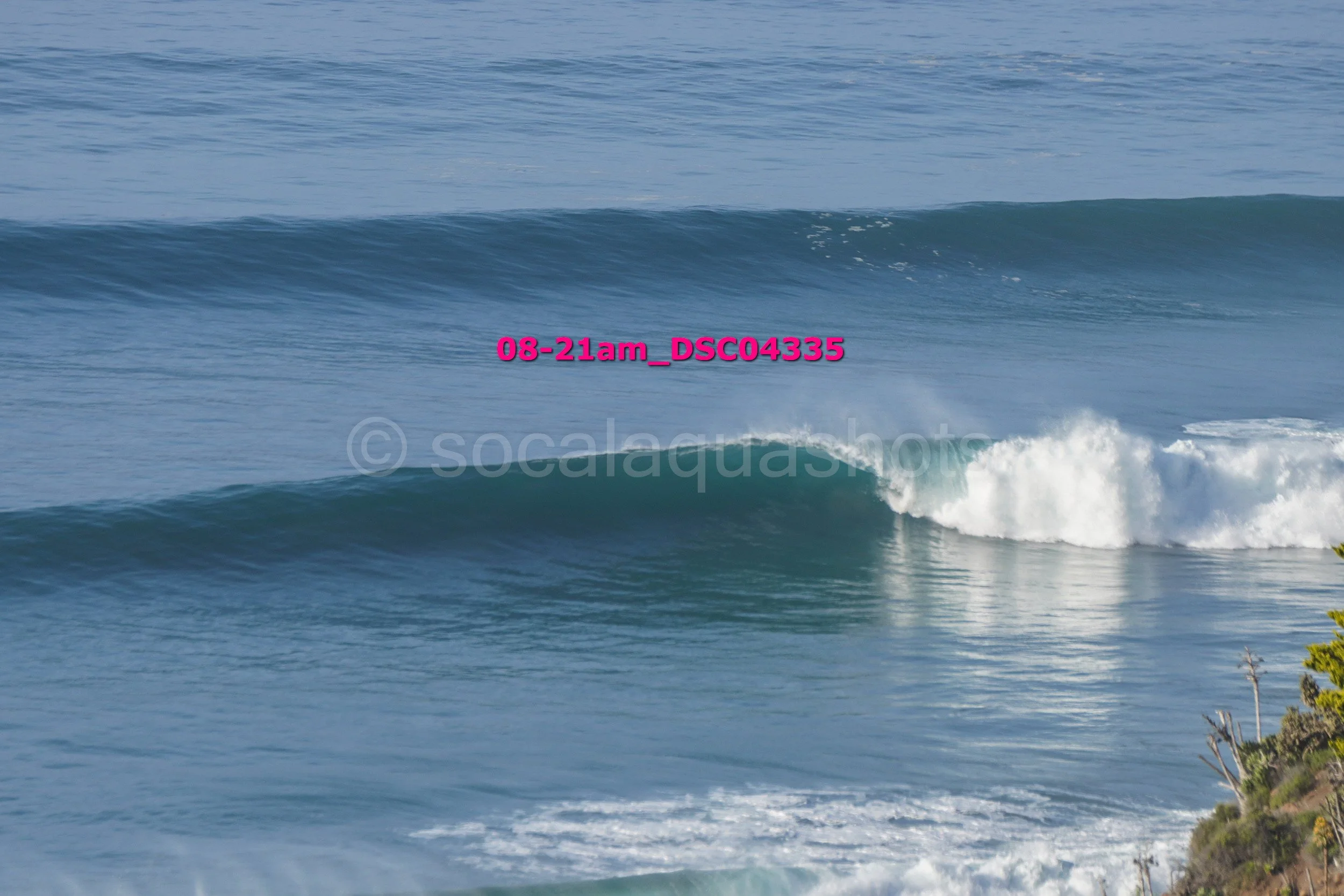 A large ocean wave breaking near the shoreline with some greenery in the foreground.