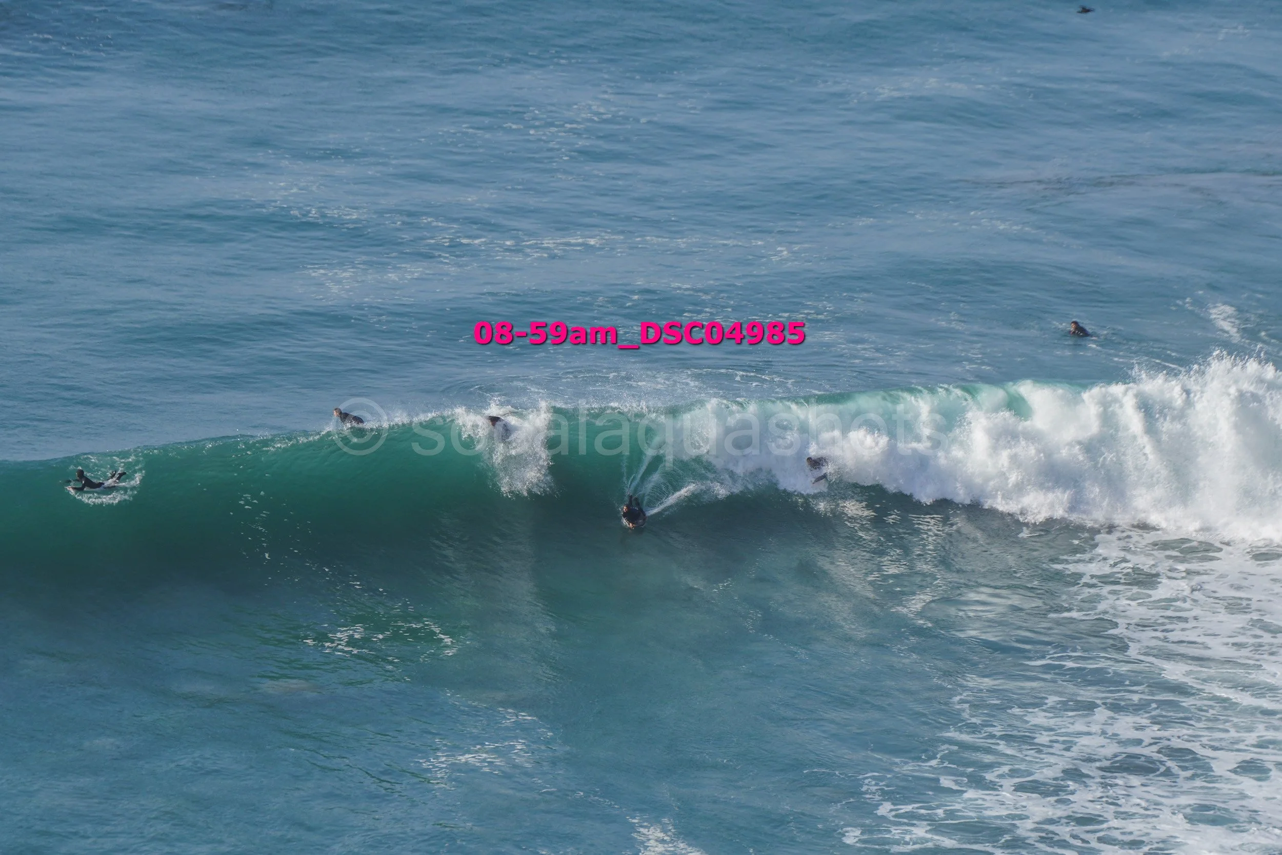 Surfers riding and swimming in the ocean waves.