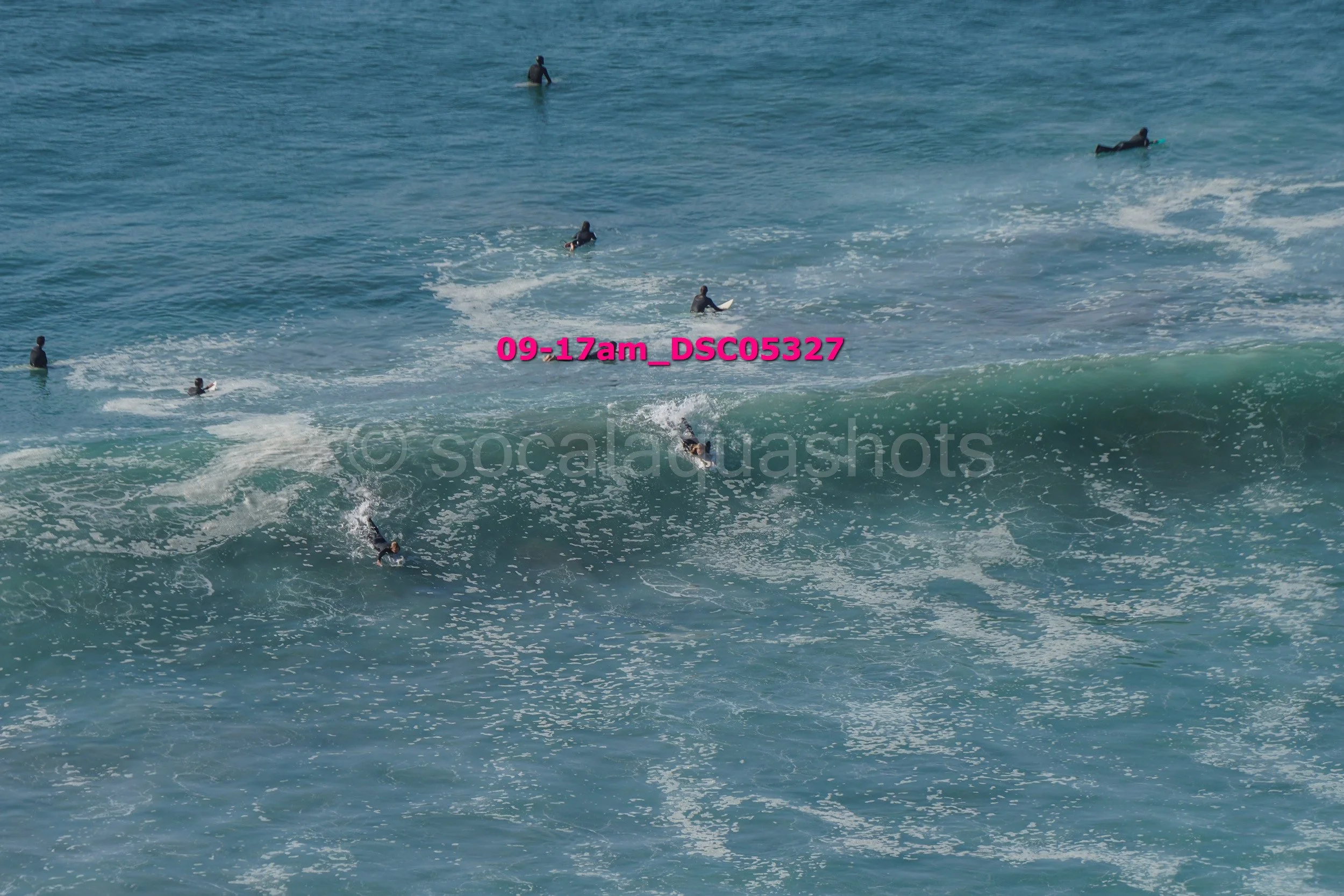 Multiple surfers in the ocean, some on surfboards and others swimming, with visible waves and foam.