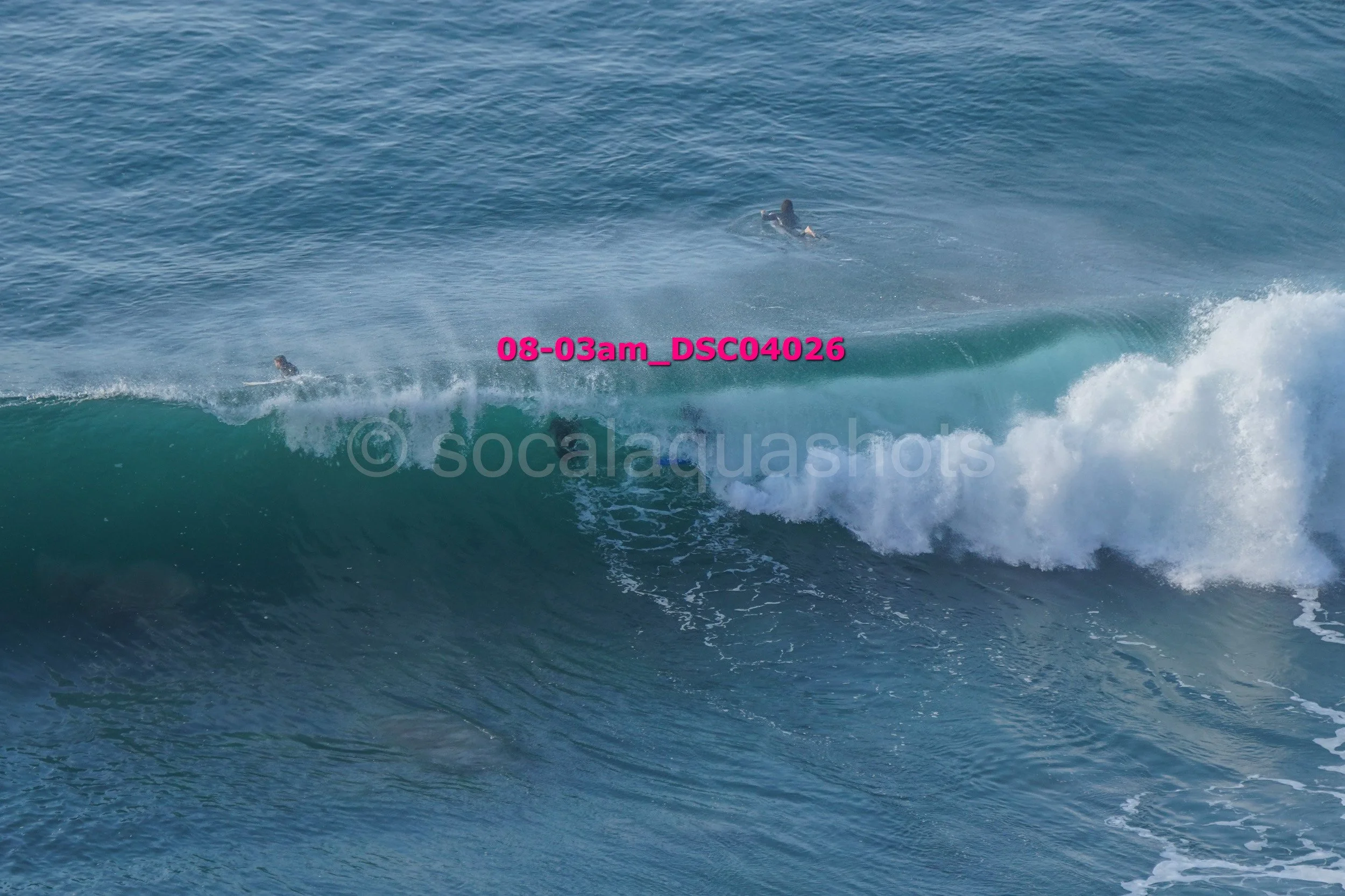 Two surfers lying on boards riding a wave in the ocean.