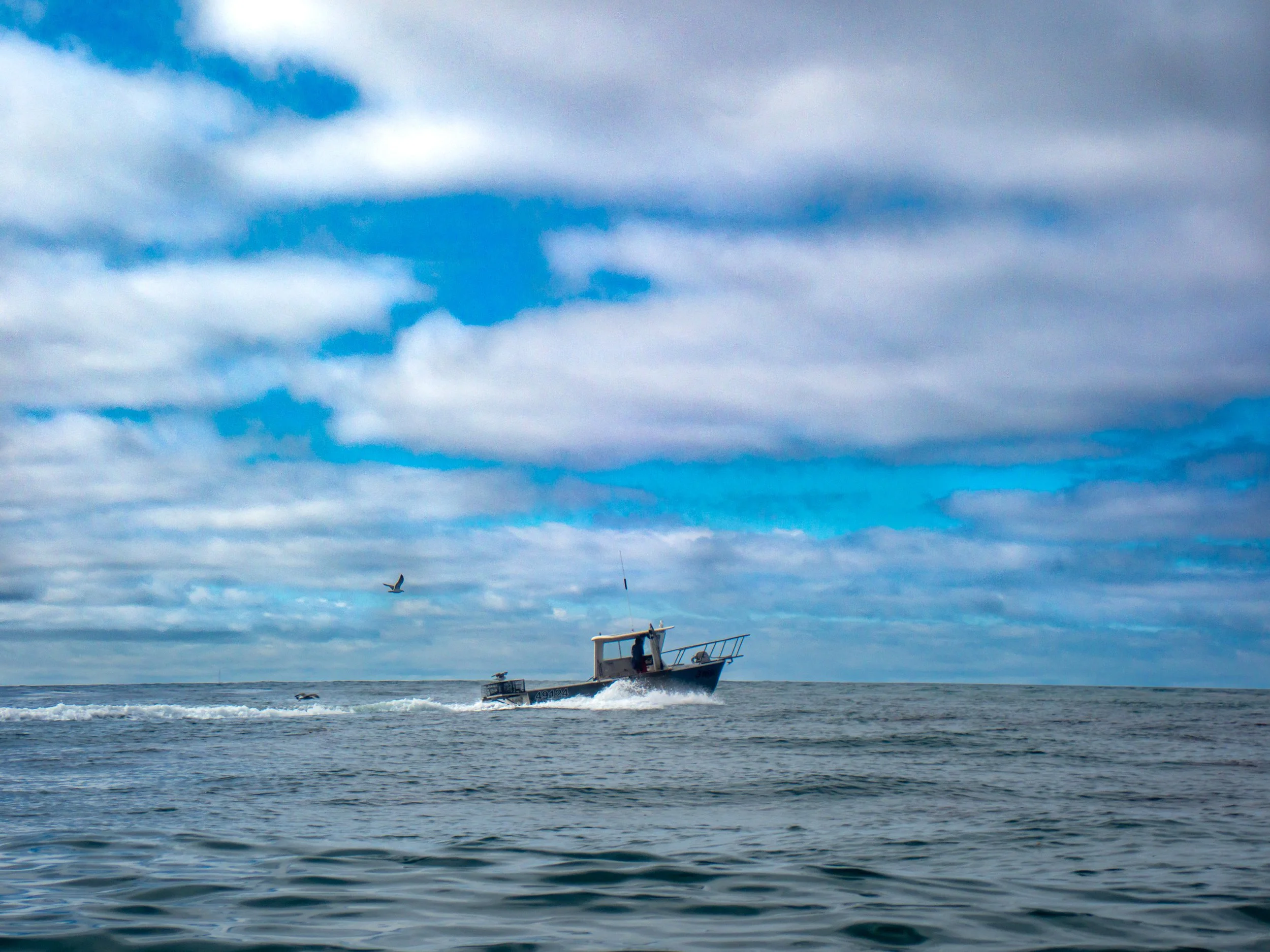 A small motorboat moving through the ocean with a flock of seagulls flying overhead under a partly cloudy sky.