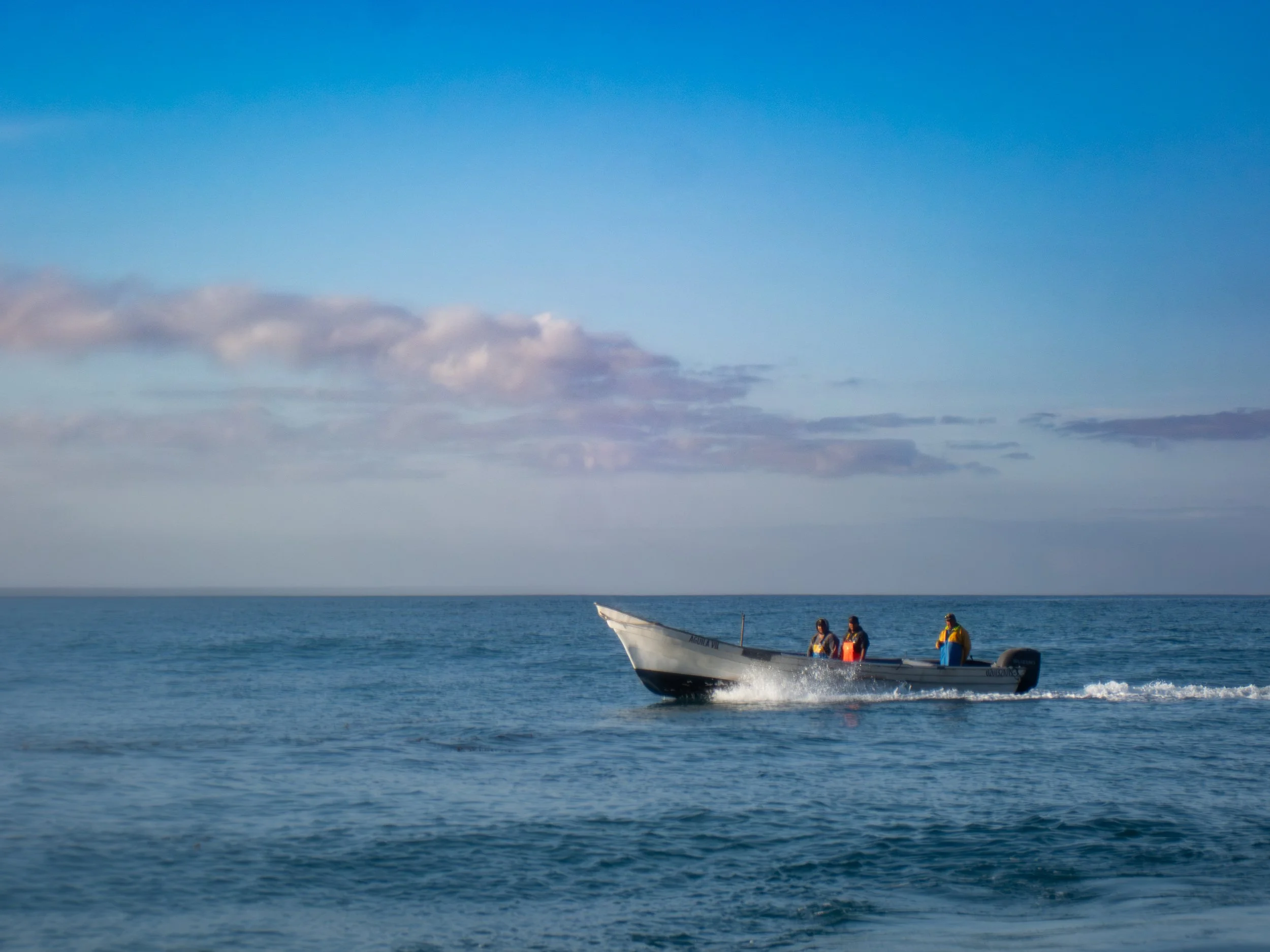 People in a motorboat on the ocean during daytime.