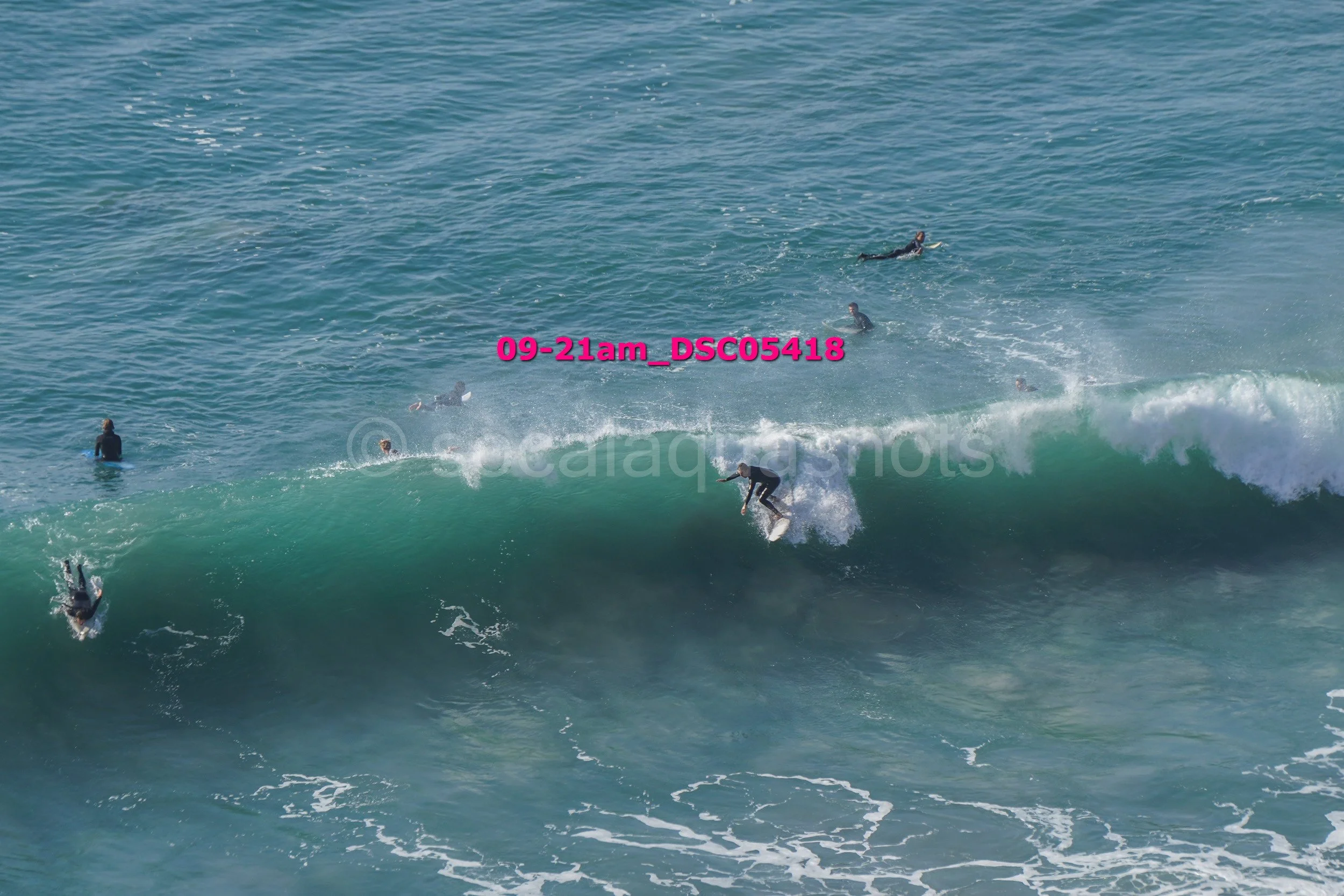 Surfer riding a wave while several other surfers are in the water around them.