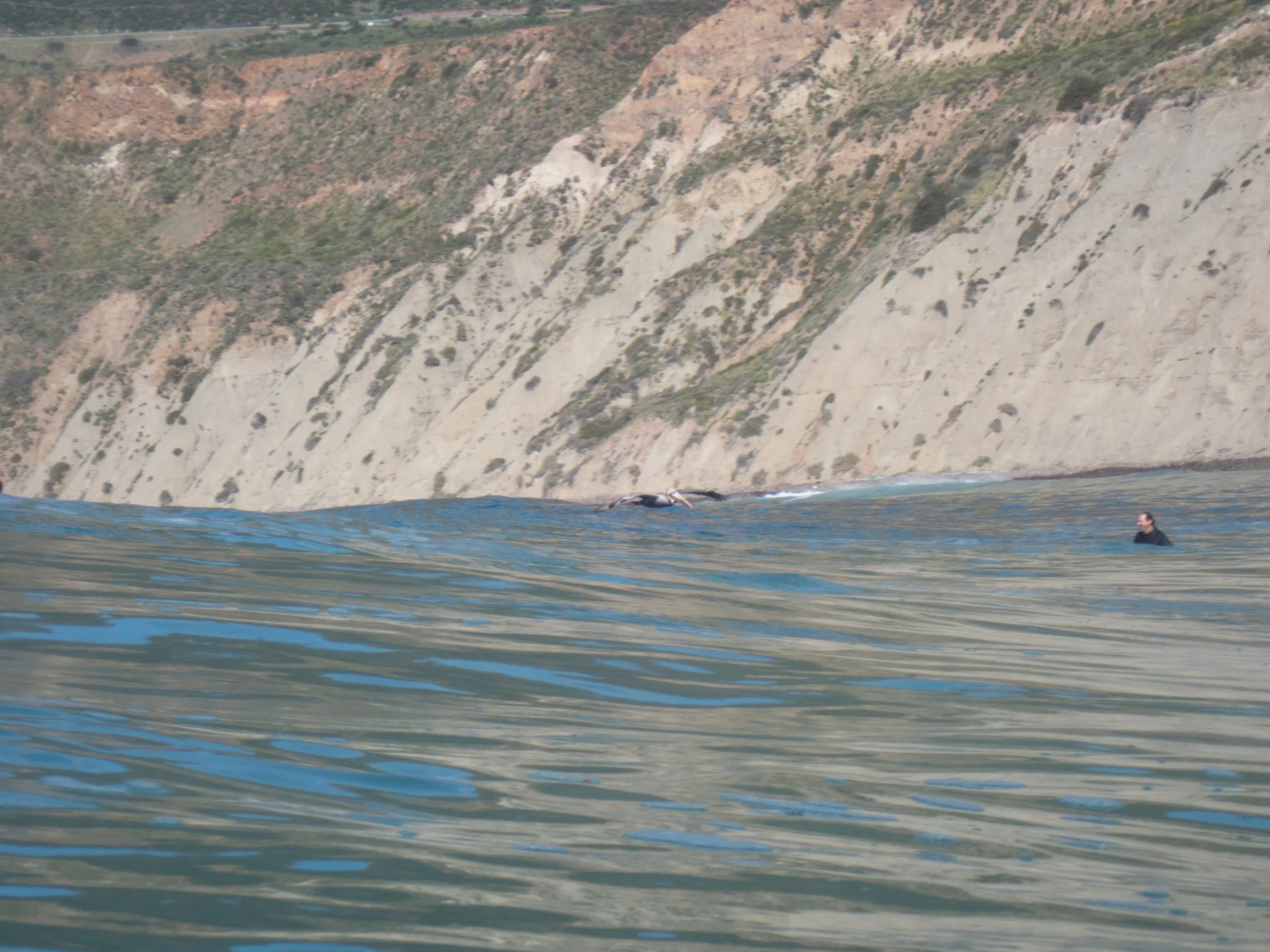 A person swimming in the ocean near rocky cliffs.