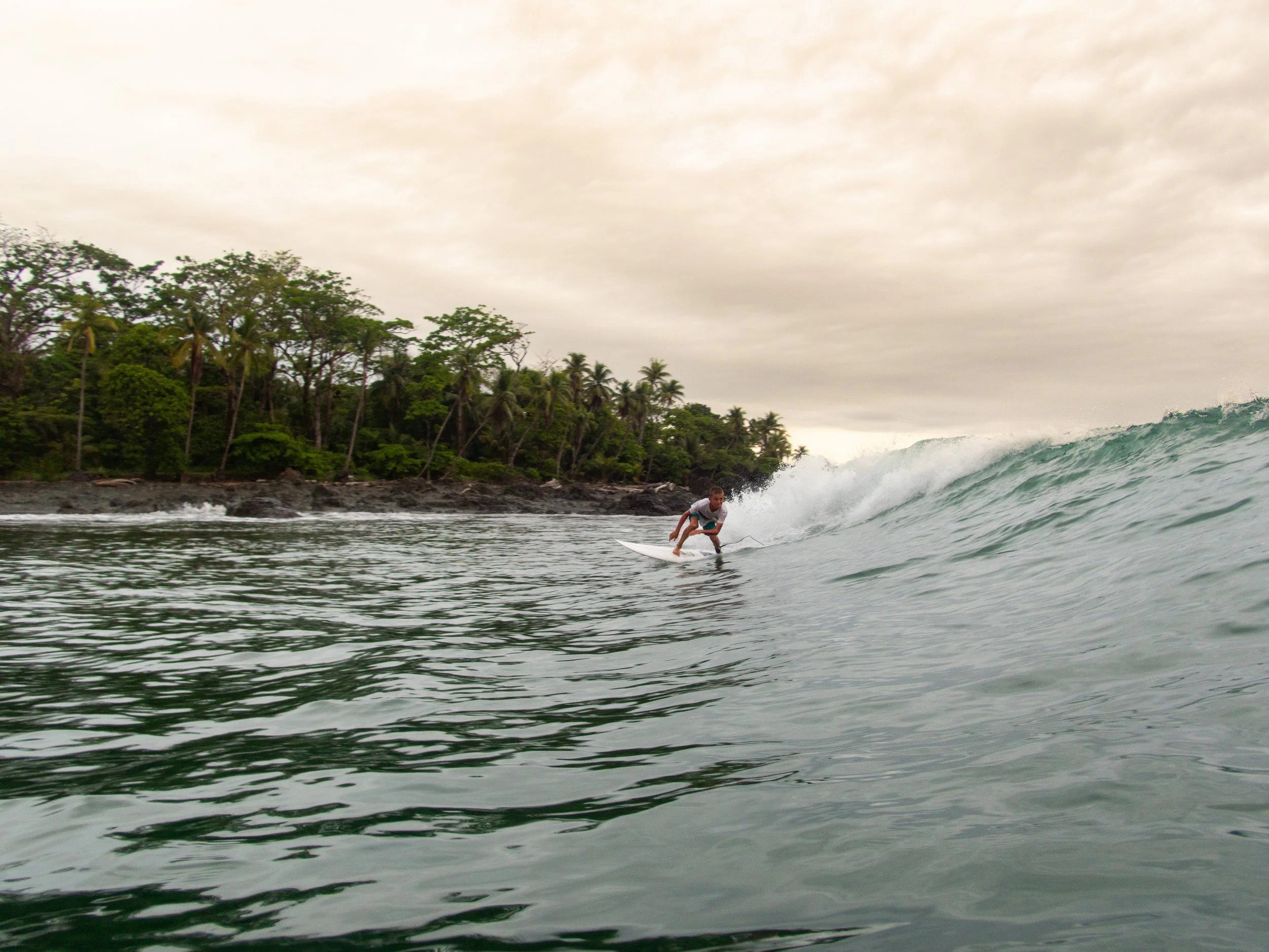 Surfer riding a wave near a tropical coastline with palm trees