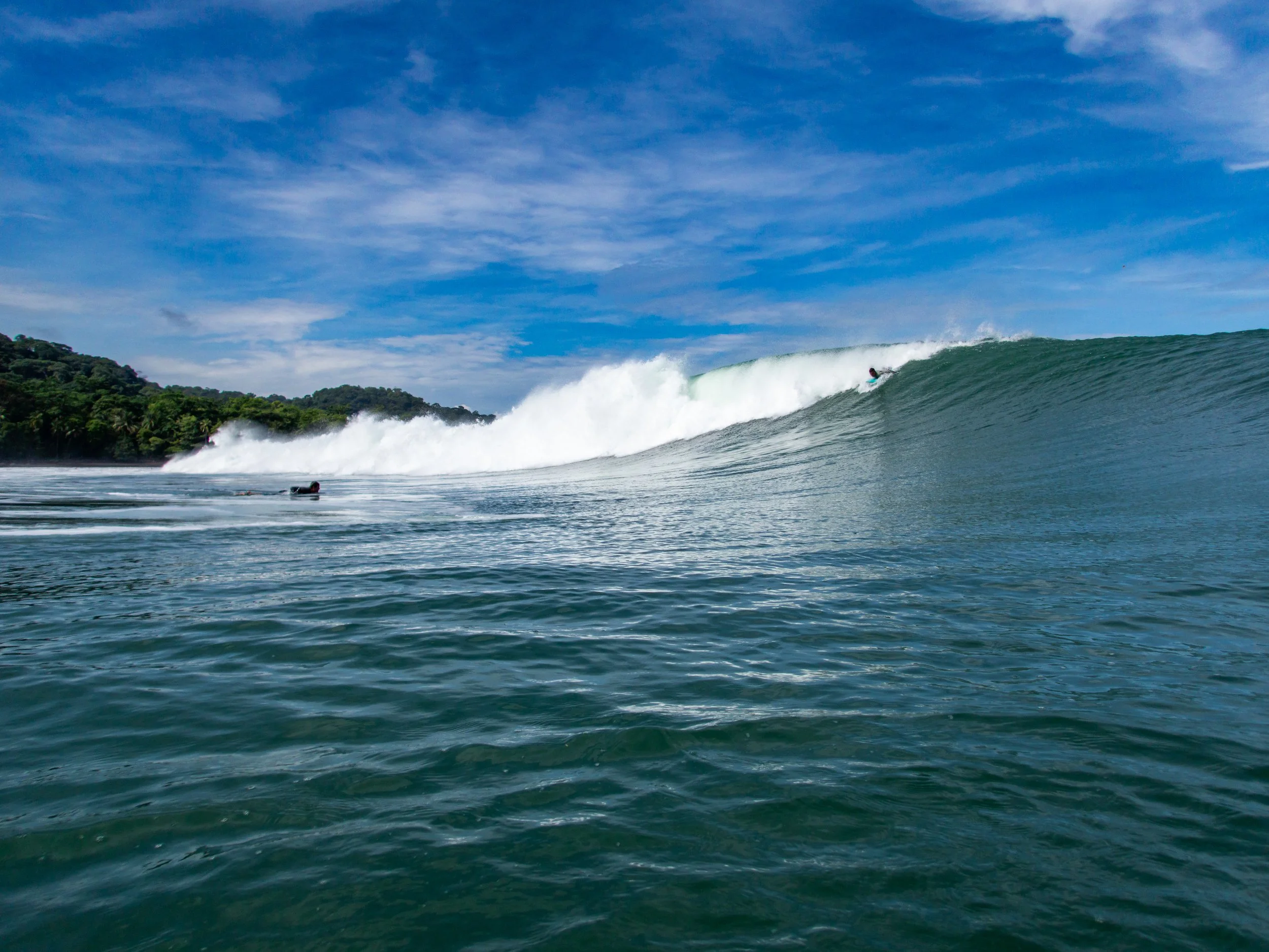 Large ocean wave with a surfer riding it, surrounded by lush green coastline and a clear blue sky.
