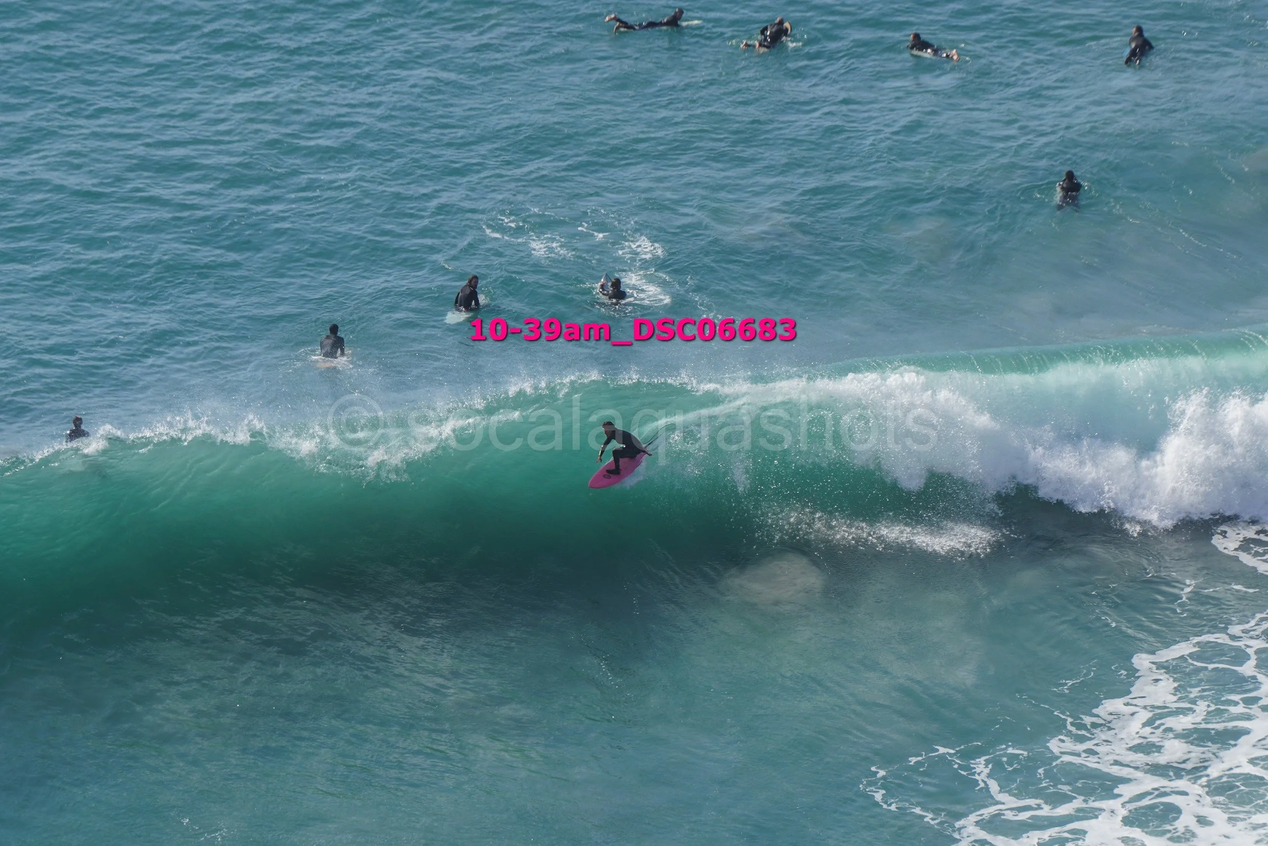 A person surfing on a pink surfboard riding a wave while multiple people are swimming and paddling in the ocean nearby.