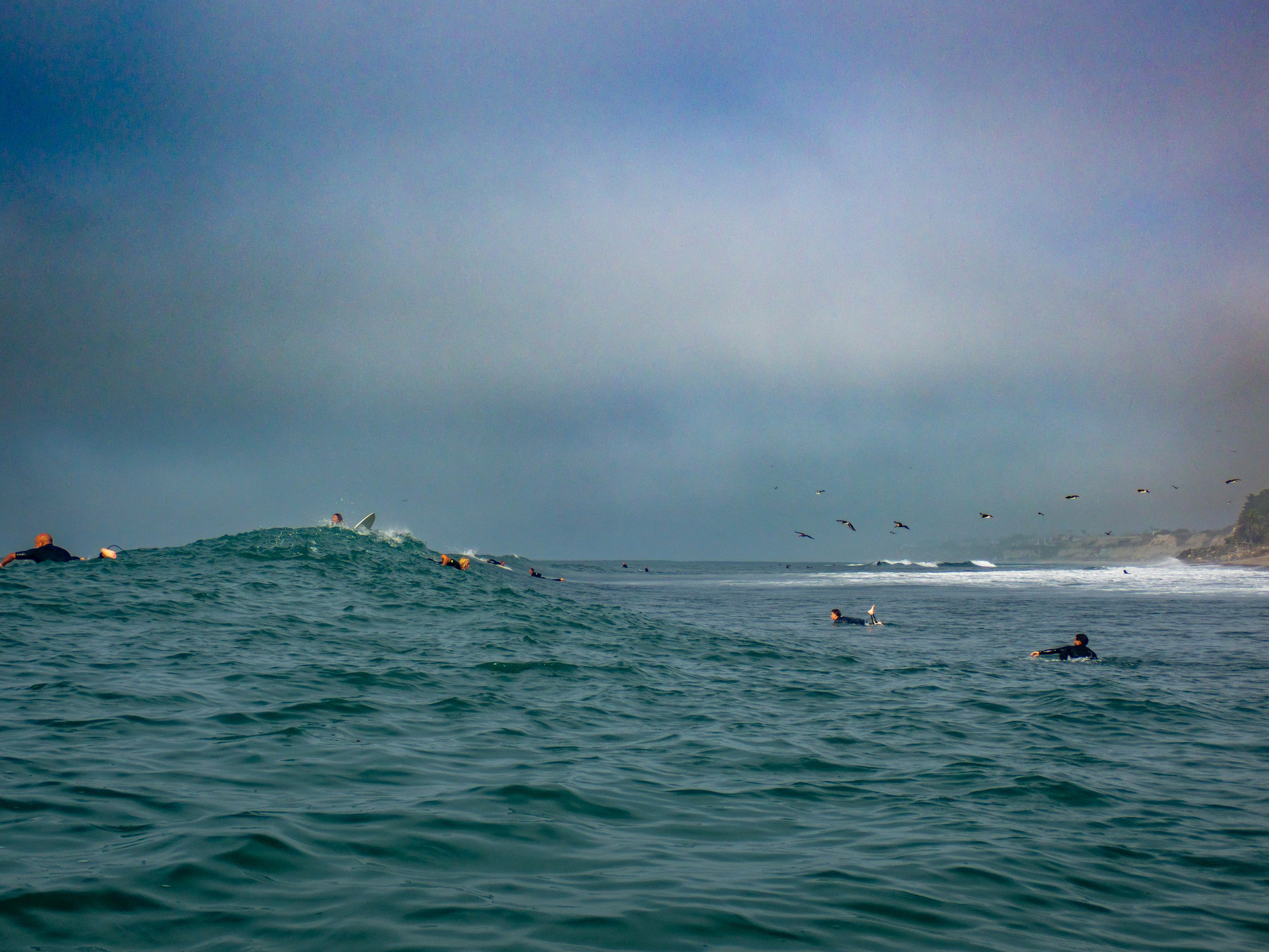 Surfers in the ocean waiting for waves, with some riding and others paddling, under a cloudy sky near a coastline.