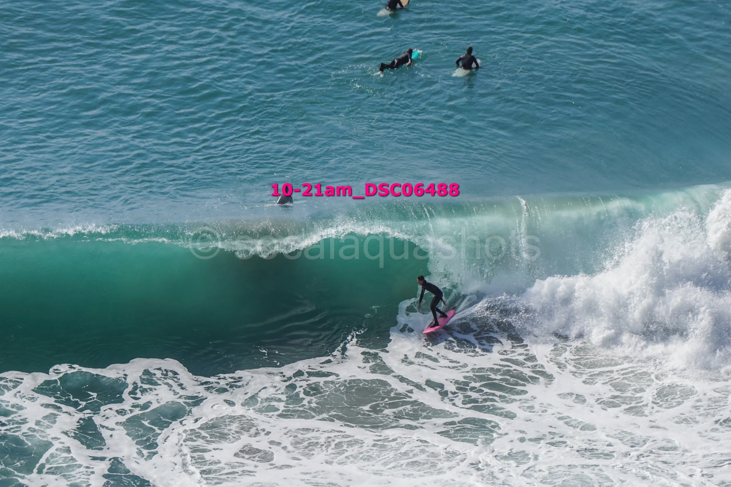 A surfer riding a wave with three people swimming in the water nearby.