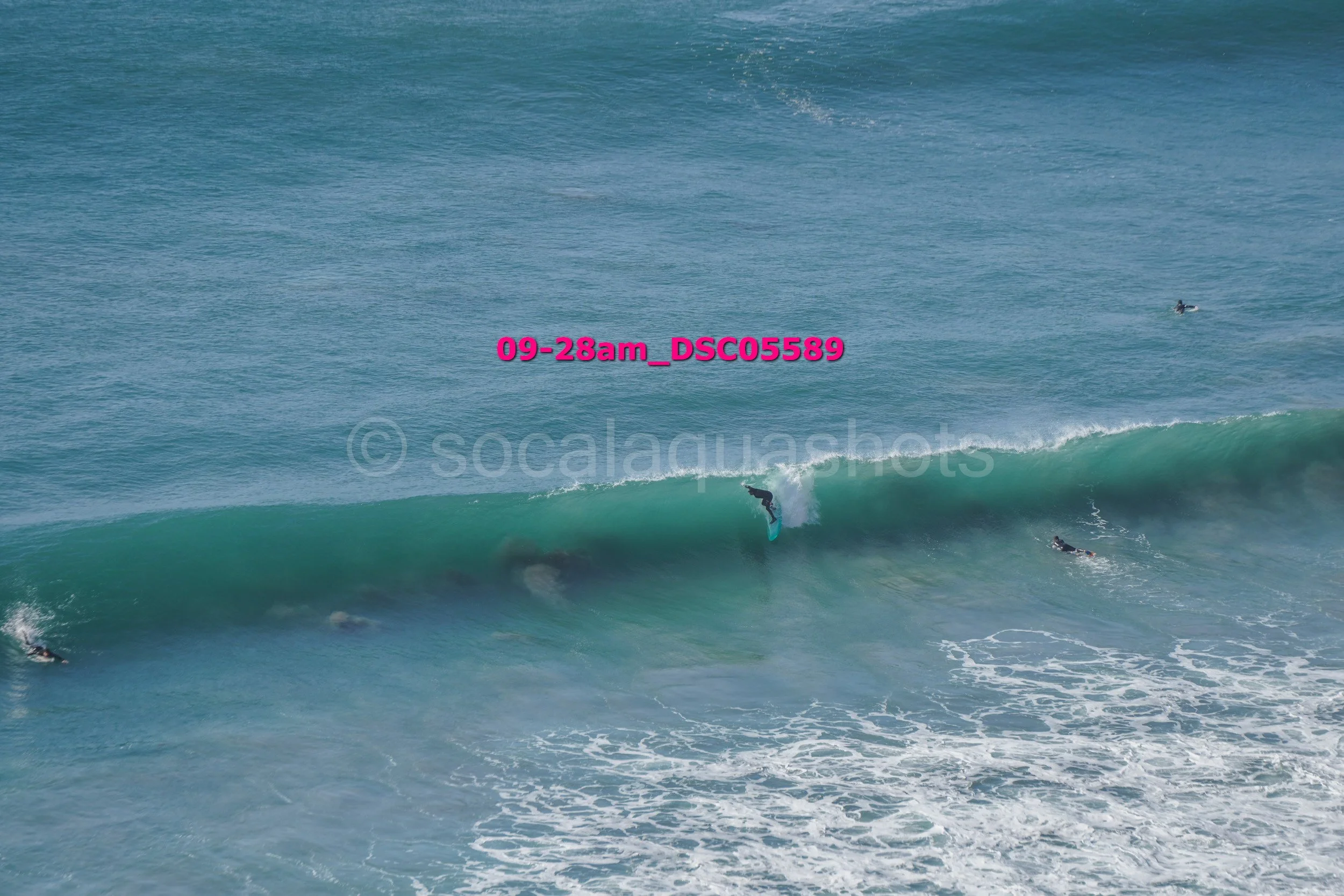 Surfer riding a wave in the ocean, with other surfers nearby, and a fish jumping out of the water in the background.