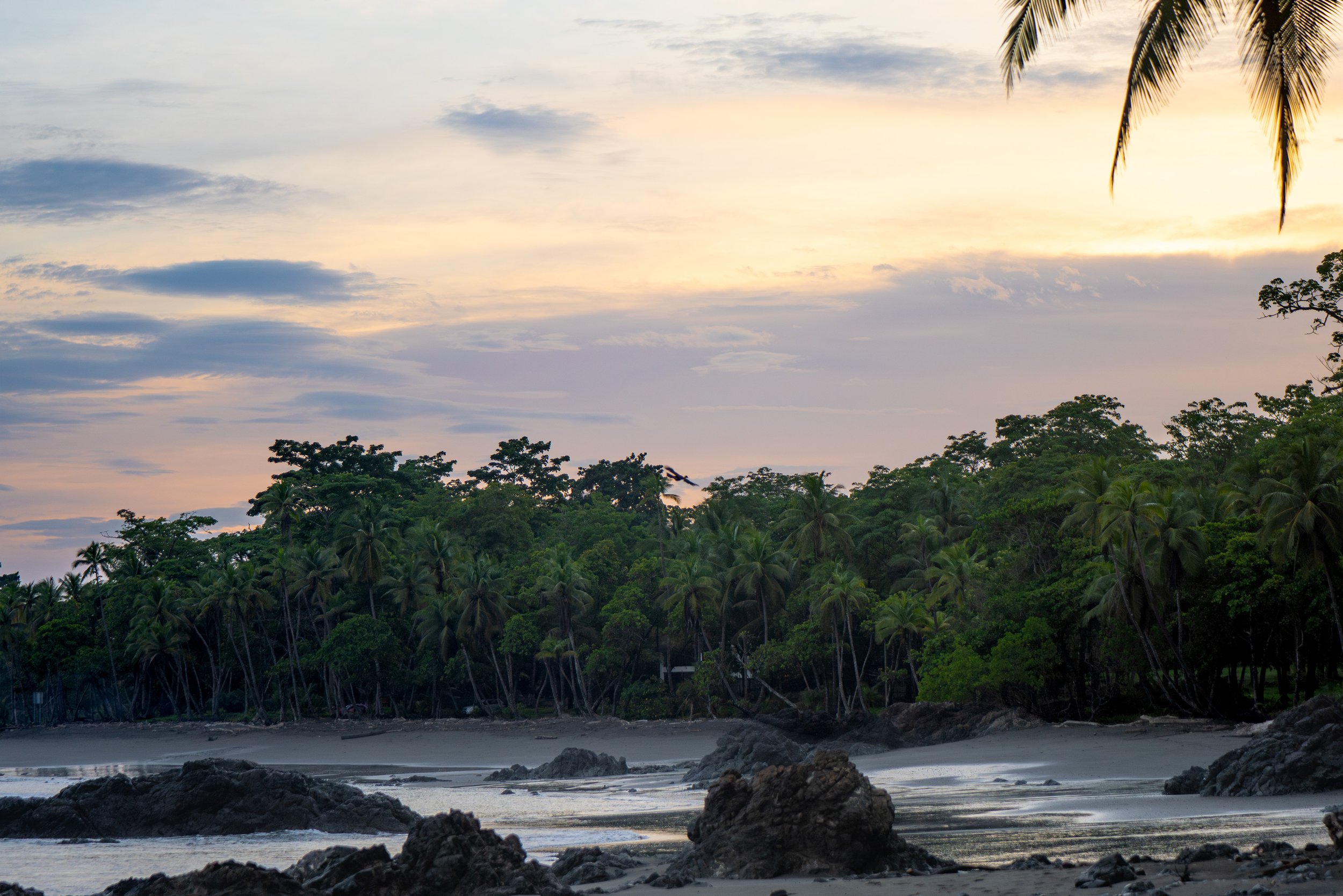 A tropical beach with dark rocks in the foreground, sandy shoreline, lush green trees, and a sky filled with soft clouds at sunset.