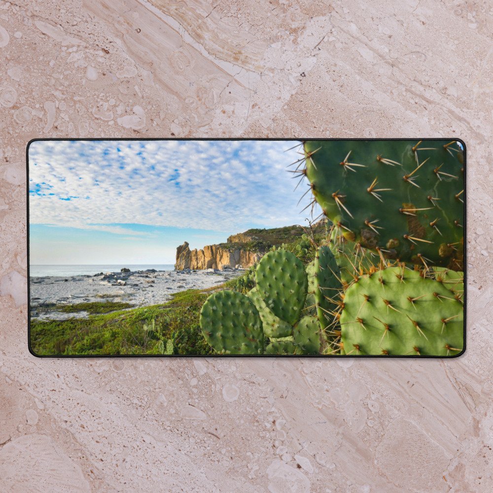 desk-mat-black-16x32-front-68016ed2ee23a.jpg