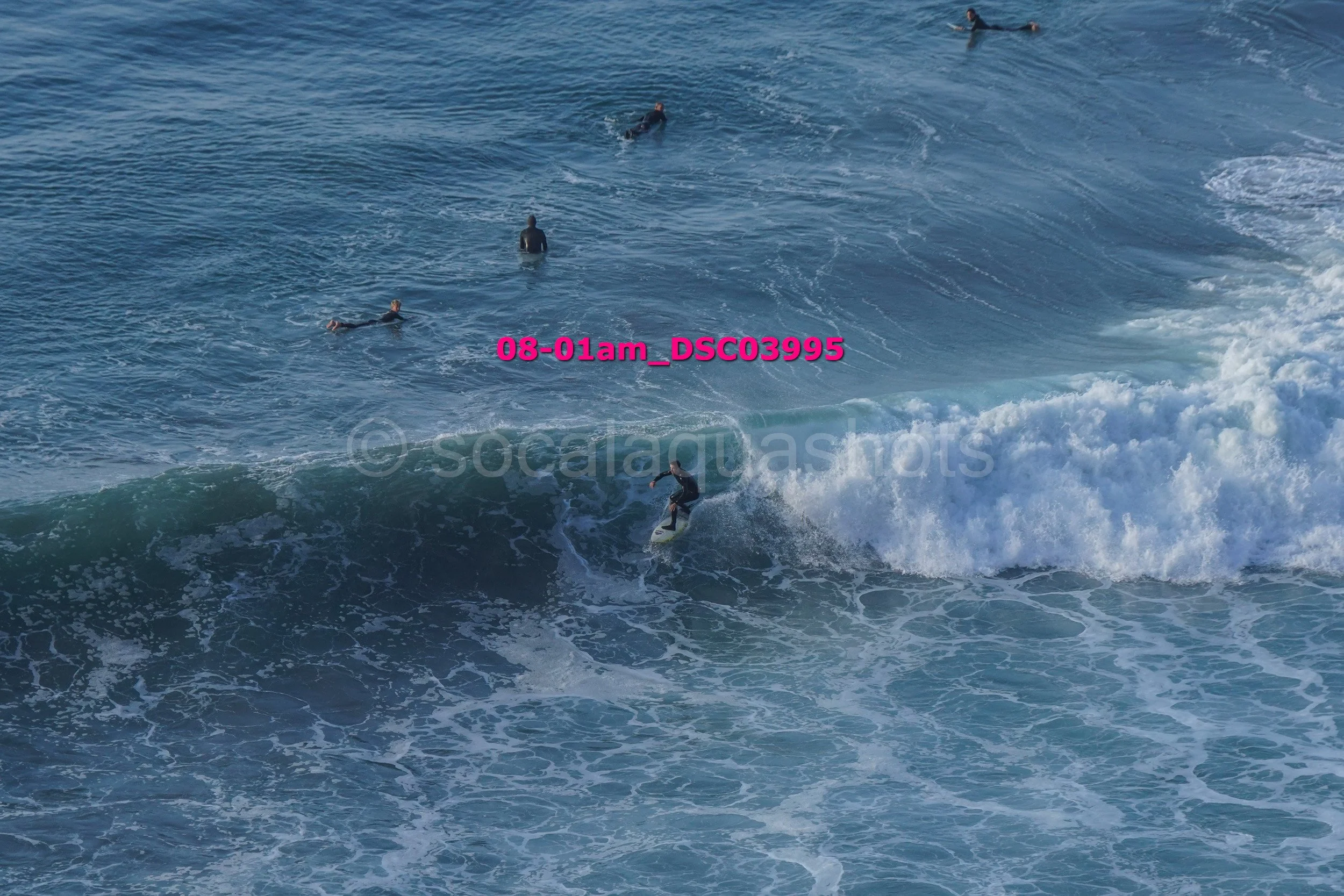 Surfer riding wave with several people swimming in the ocean nearby.