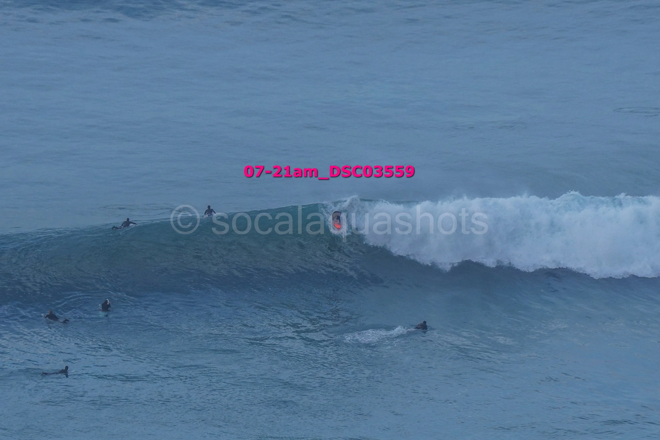 Several surfers on the ocean, with one surfing a wave while others wait in the water.