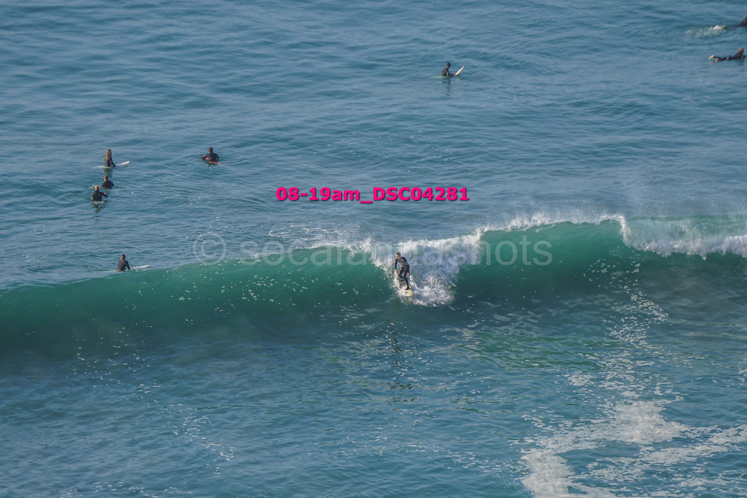 A group of surfers in wetsuits waiting in the ocean while one surfer rides a wave.
