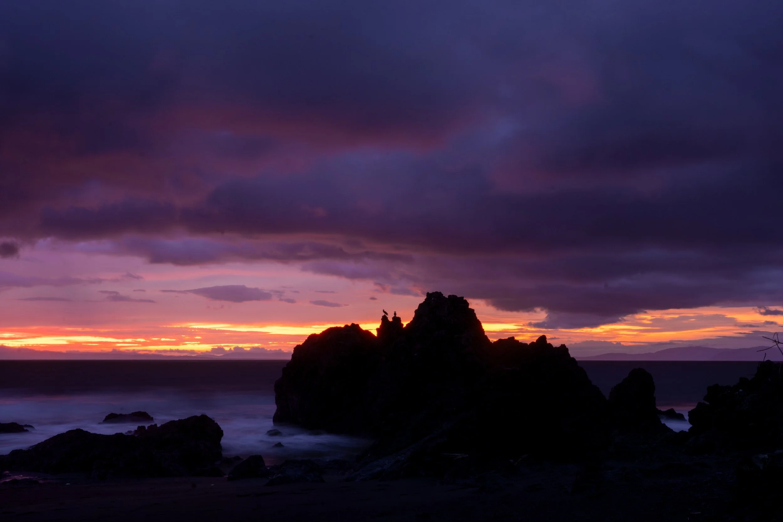 DSC09173.jpg