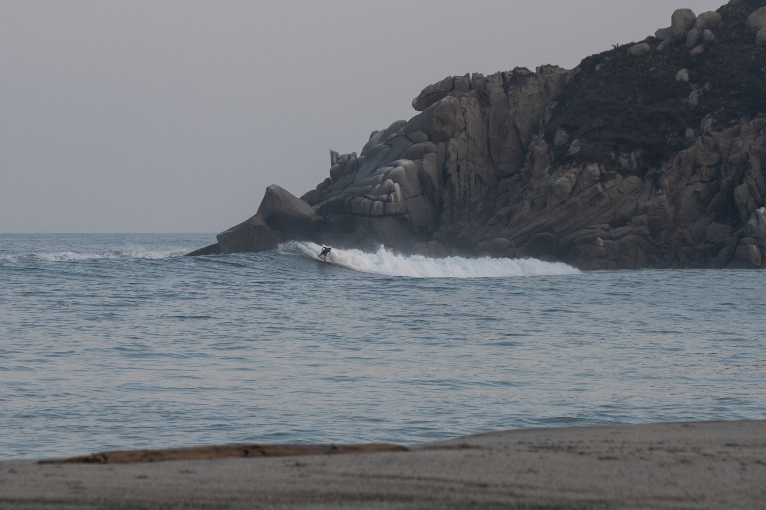 DSC01595.jpg