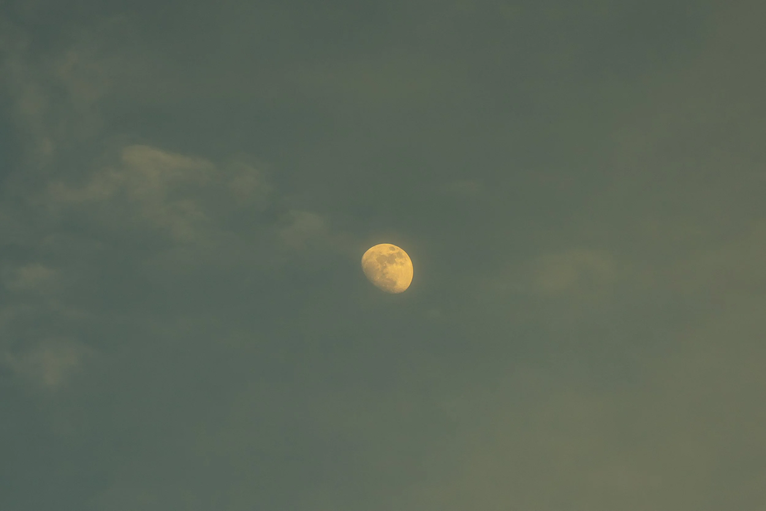 DSC08733.jpg