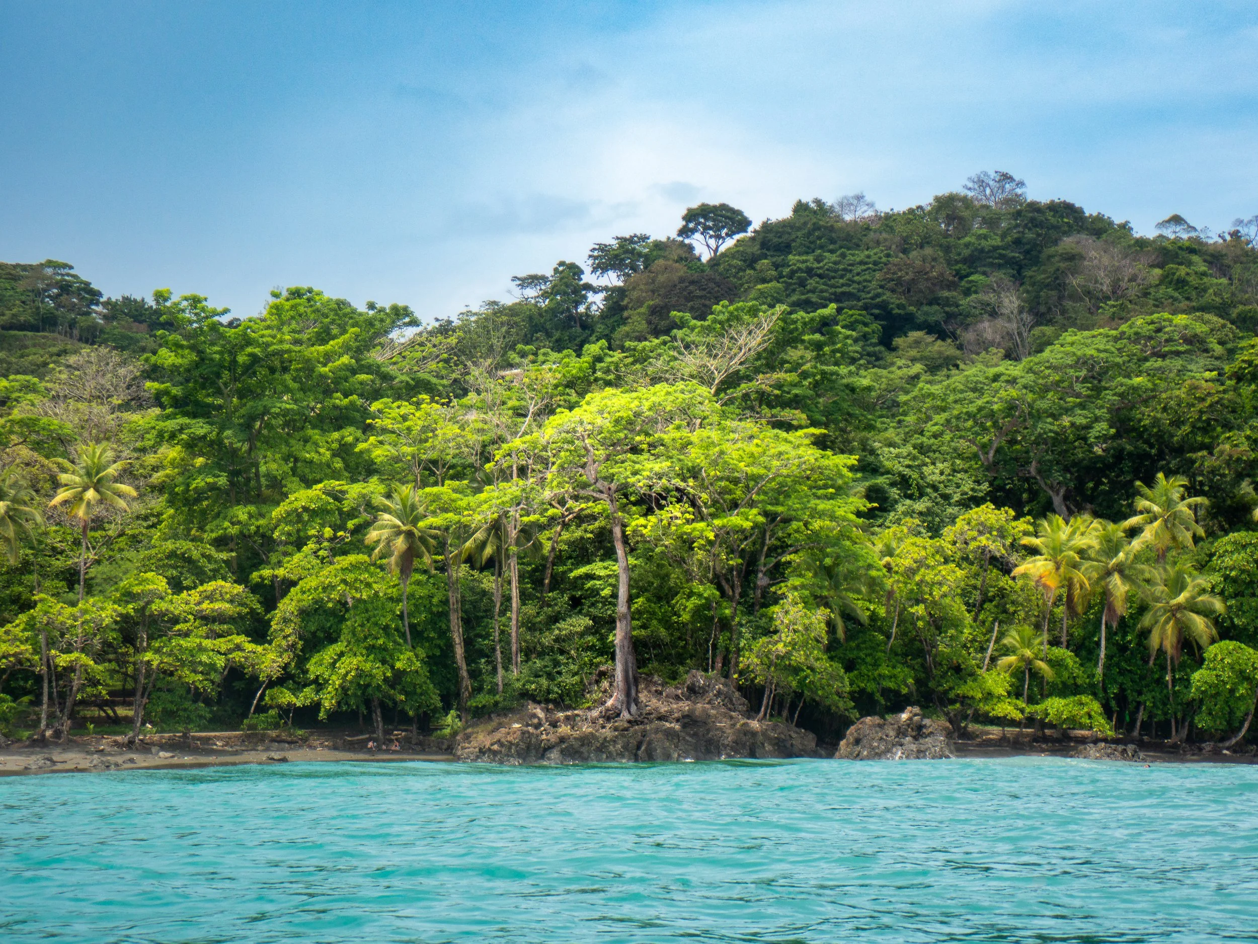 Tropical island with lush green trees and palm trees, bordered by turquoise water and a partly cloudy sky.