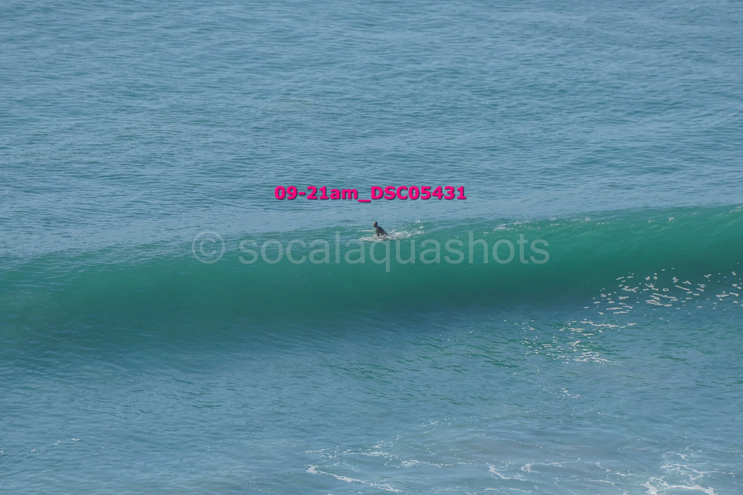 A surfer riding a small wave in the ocean, with the horizon in the background.