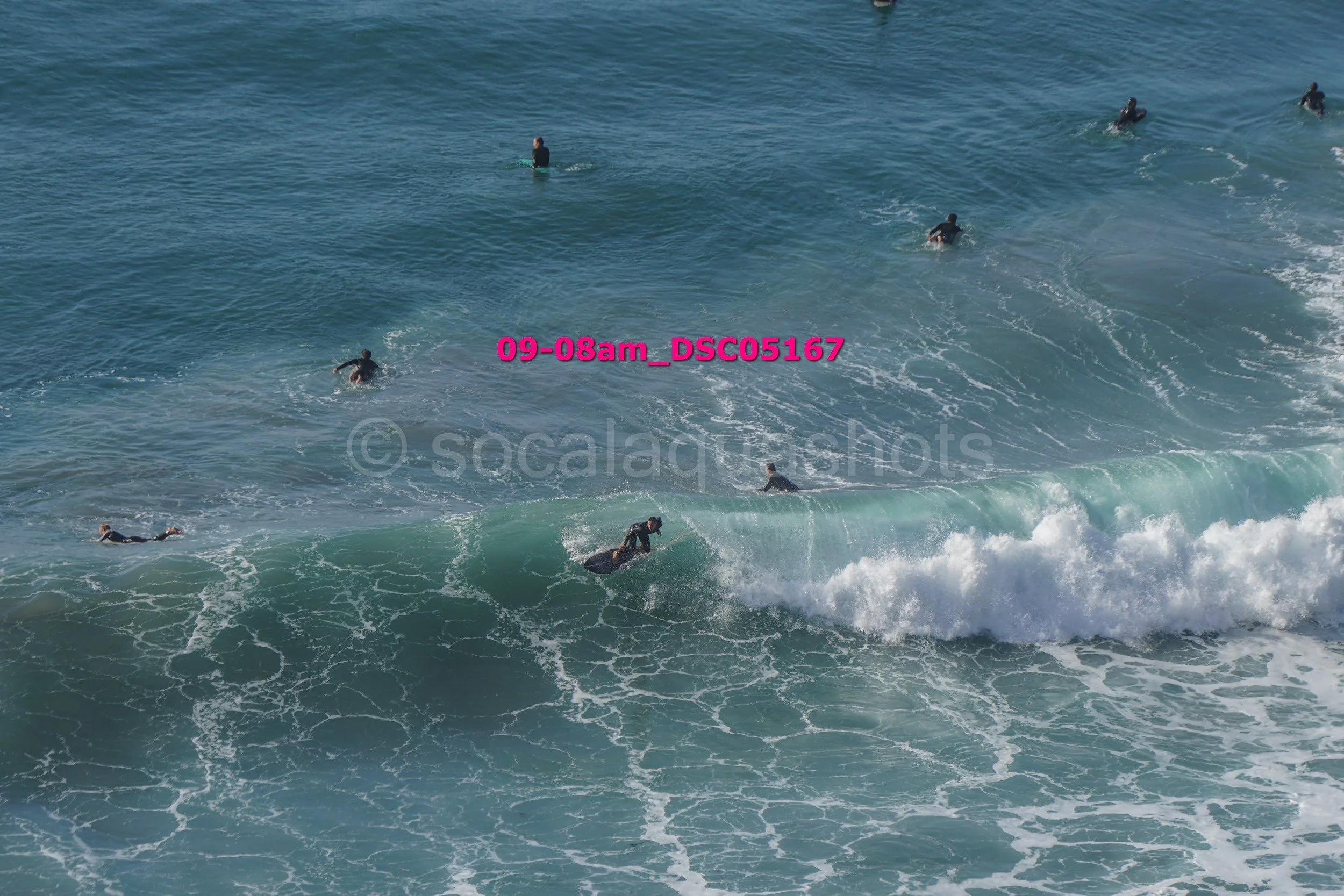 Several surfers in wetsuits paddling and riding ocean waves near the shore.