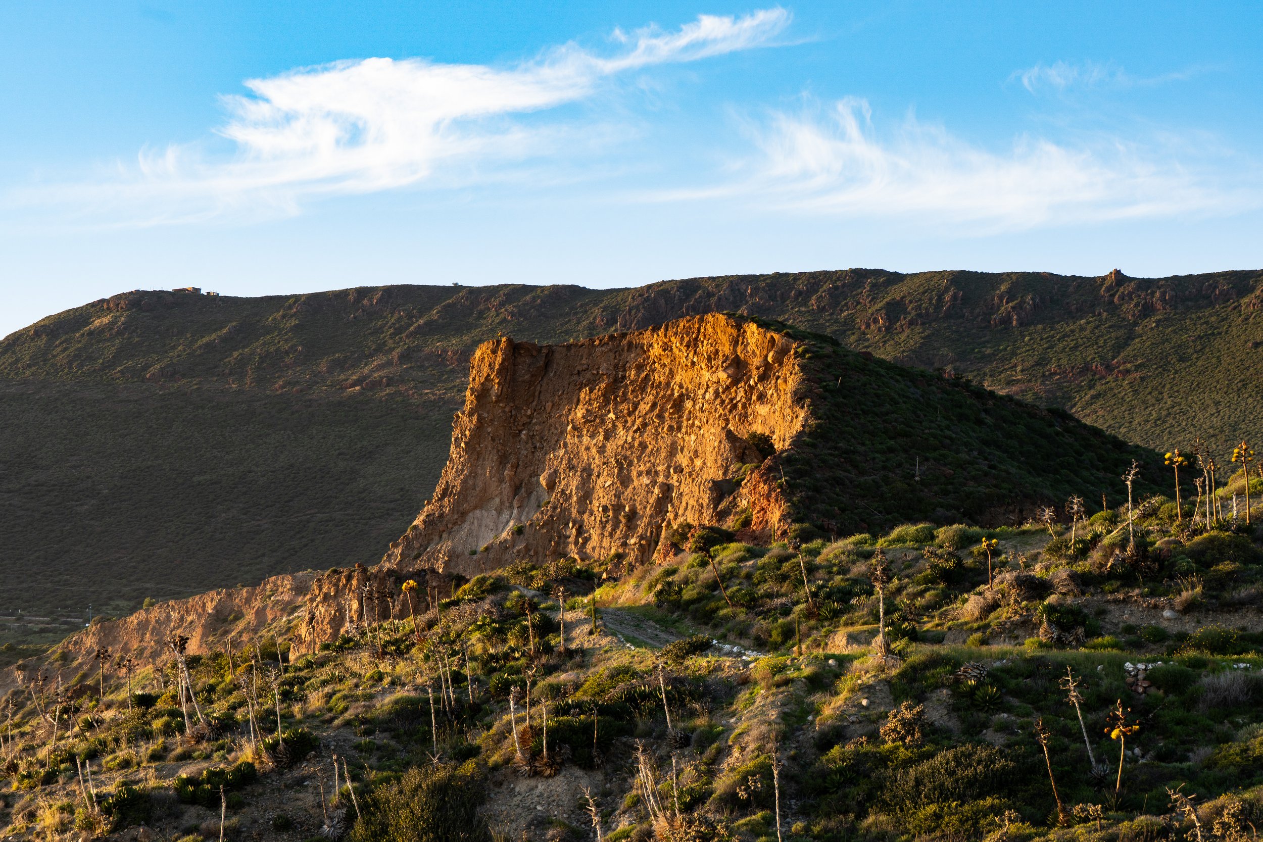 A desert landscape during sunset with a prominent golden-hued rock formation and sparse desert vegetation, including tall, thin plants, in the foreground, and mountain ridges in the background under a partly cloudy sky.