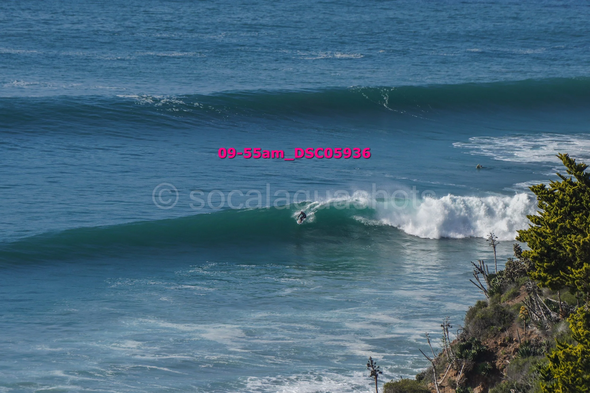 A person surfing on a wave near a rocky and grassy shoreline with trees.