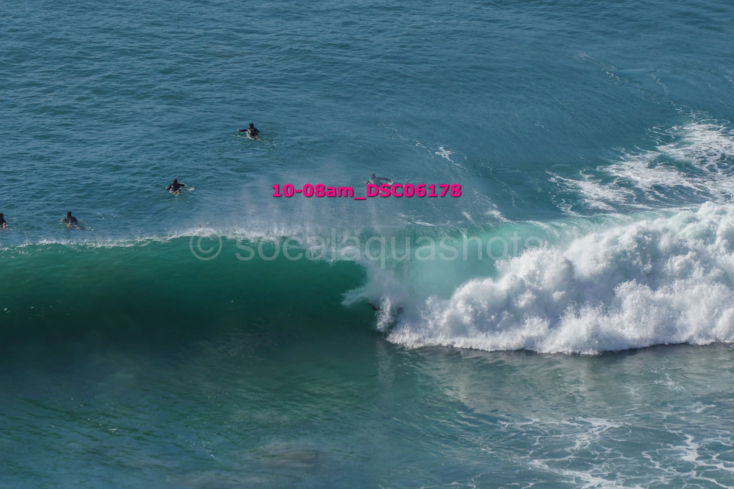 Group of people surfing in the ocean, riding large waves.