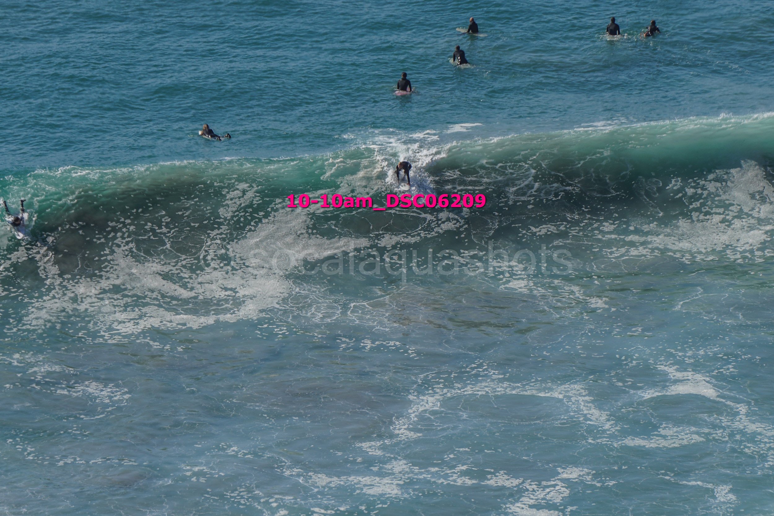 People surfing and swimming in the ocean with waves.