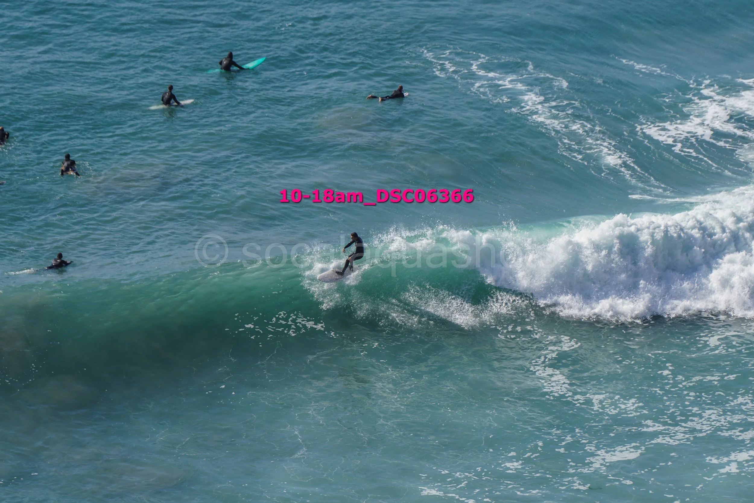 A group of surfers in wetsuits riding and waiting for waves in the ocean, with one surfer actively riding a wave.