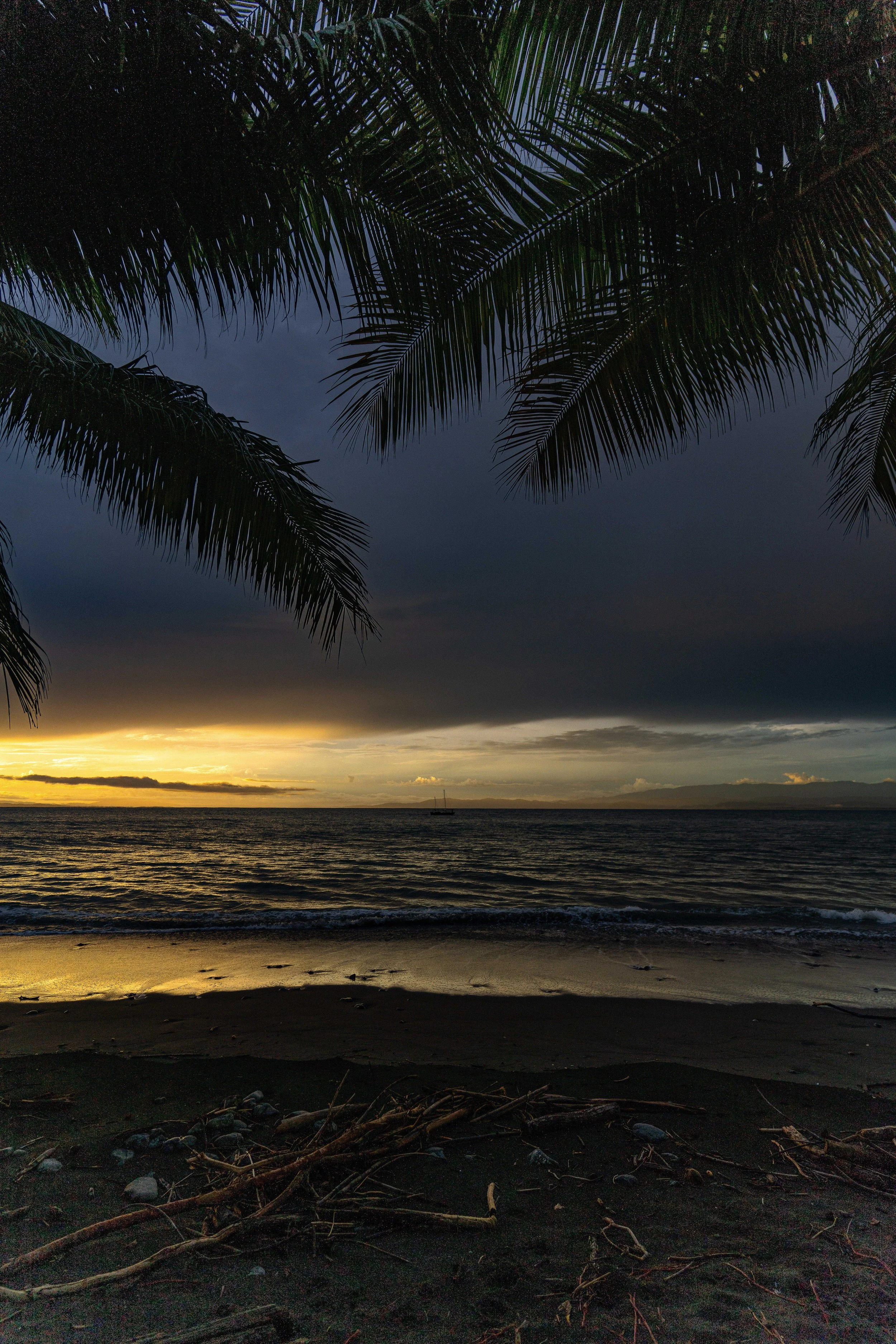 A tropical beach at sunset with palm trees in the foreground and a boat on the water in the distance.