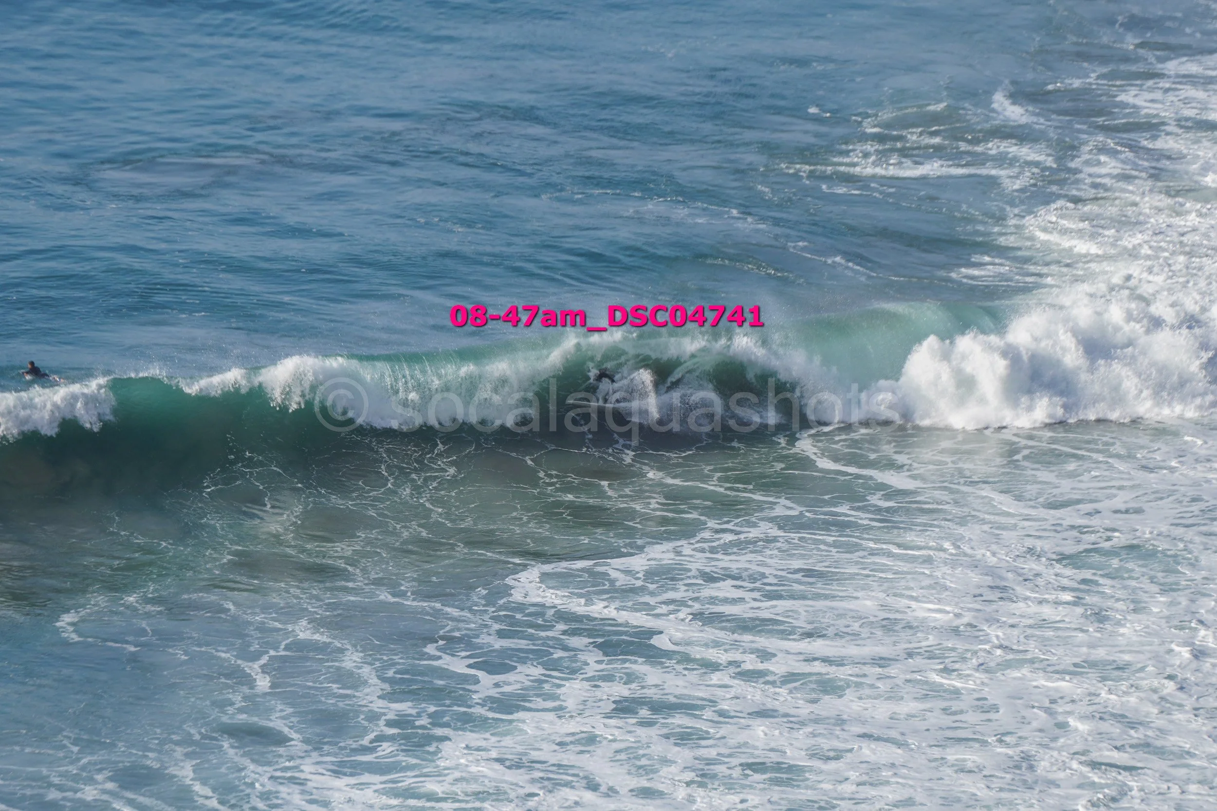 A person surfing on a wave in the ocean, with seagulls flying nearby.