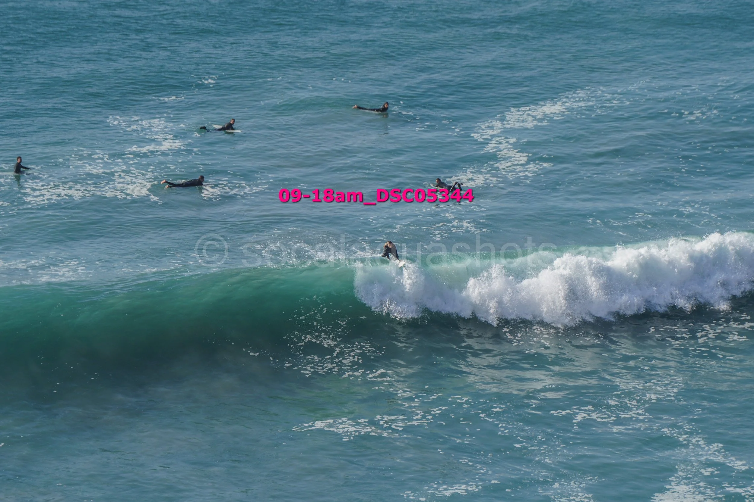 Surfers catching waves in the ocean with some surfers floating on their boards nearby.