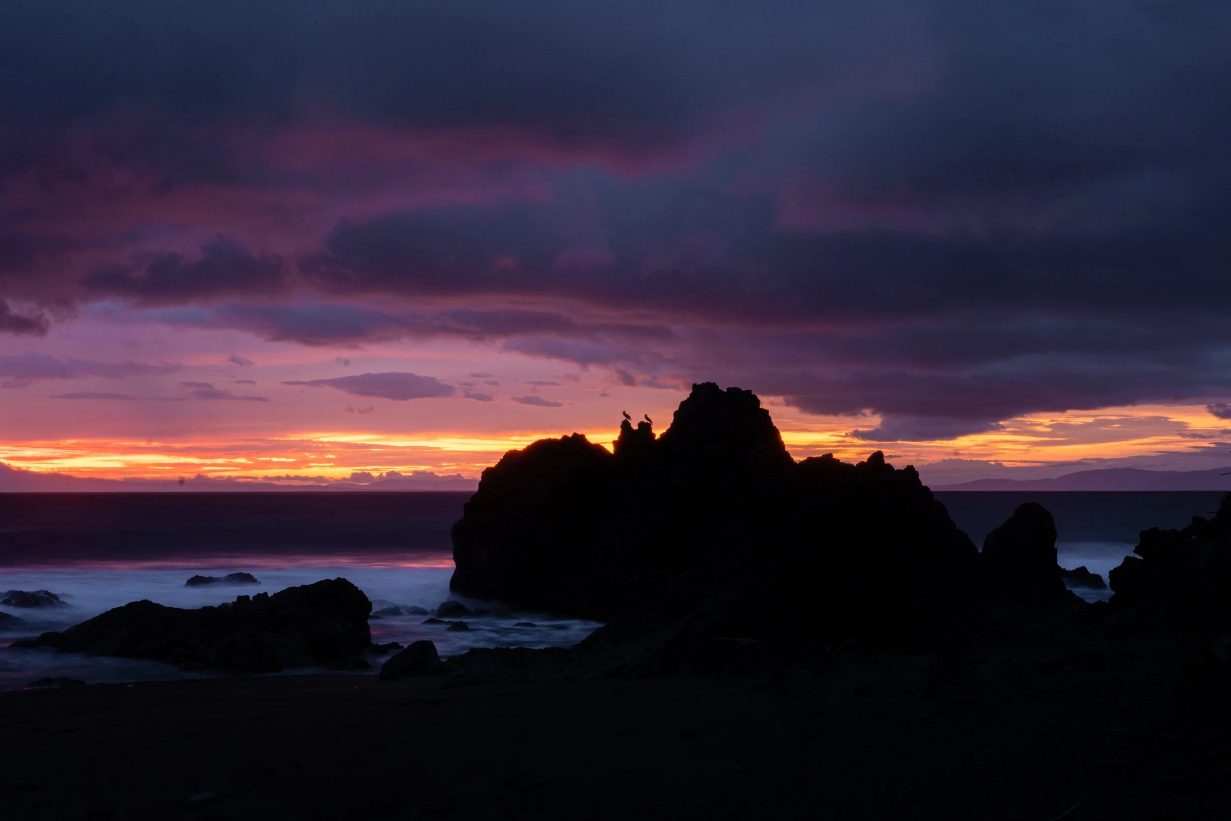 DSC09172.jpg