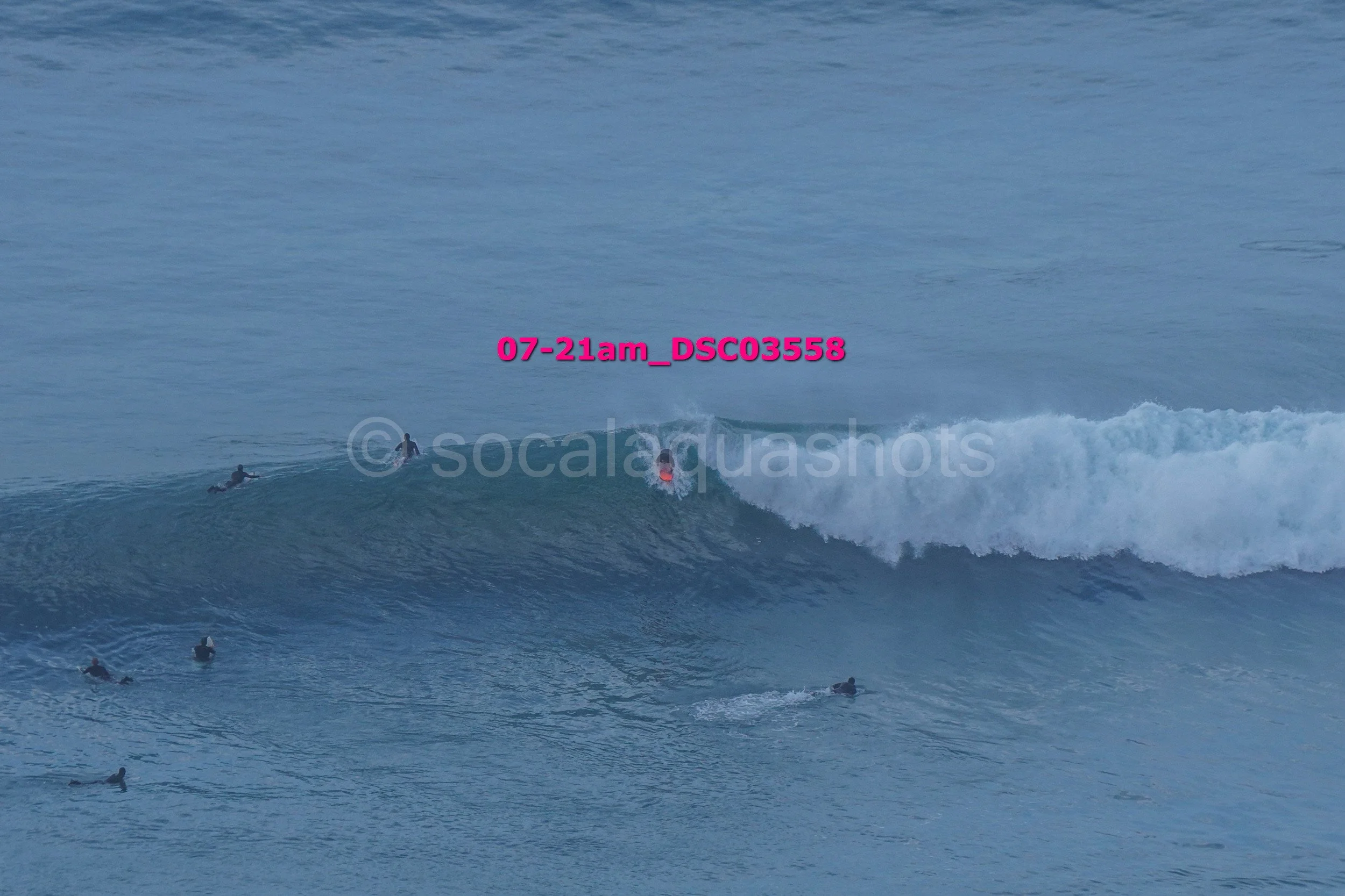 A group of surfers in the ocean, some paddling on surfboards and one riding a wave.