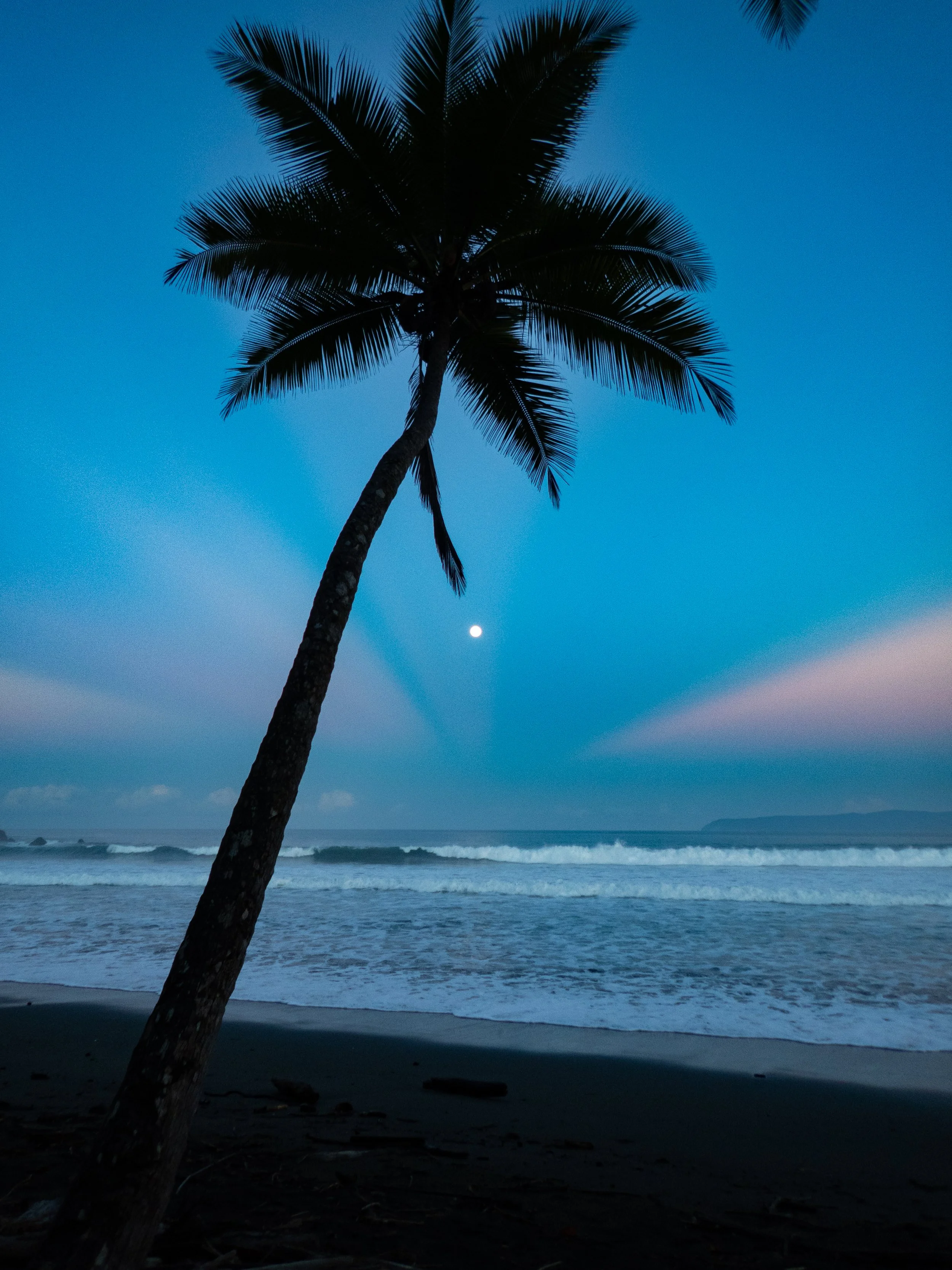 Silhouette of a palm tree on a beach during dusk, with the moon visible in the sky, waves crashing on the shore, and a distant landmass in the background.