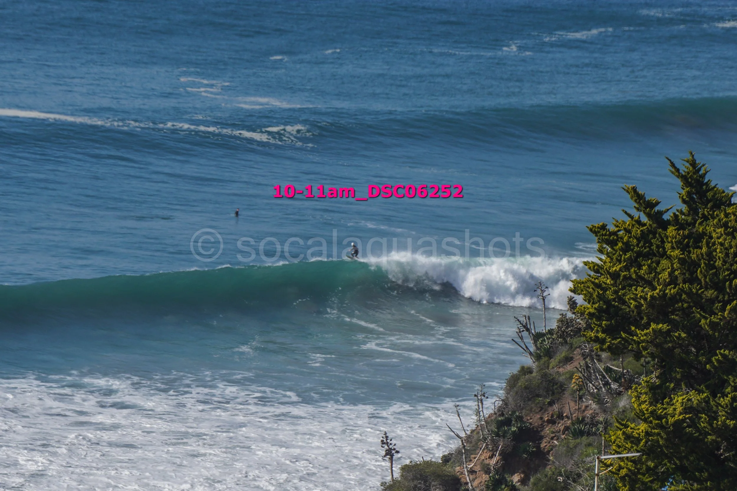 A person surfing on a wave near a rocky coastline with green trees and shrubs in the foreground.
