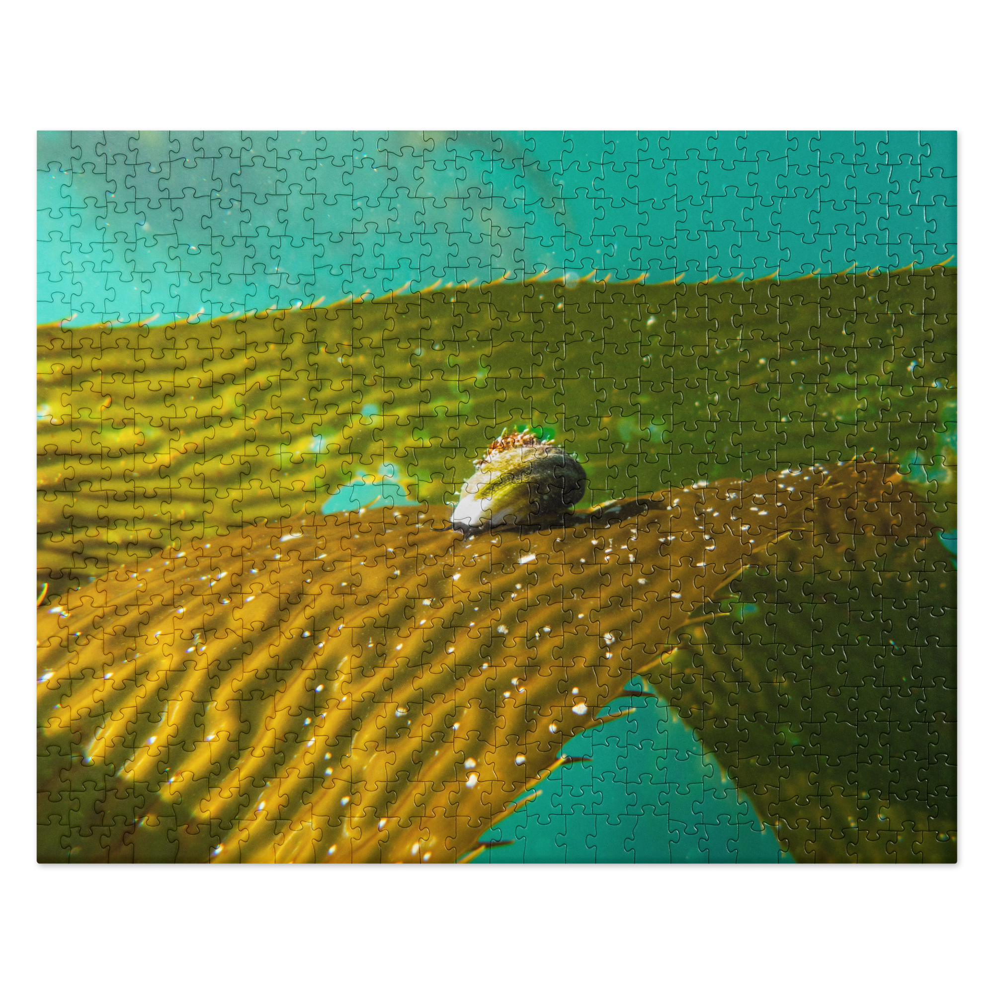 Kelp Rider - Jigsaw puzzle 520 Pieces