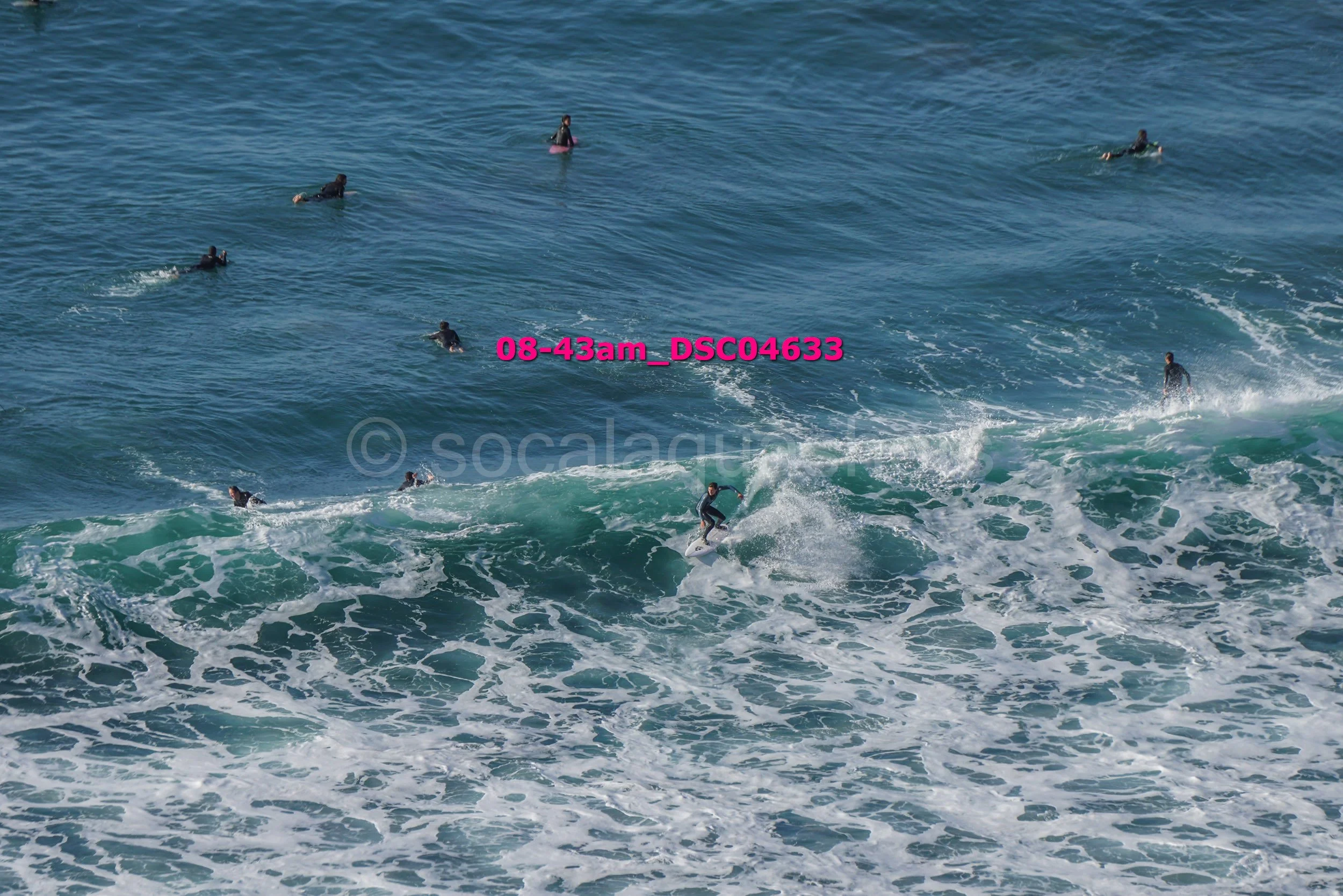 Surfers riding ocean waves with several others swimming nearby in the water.