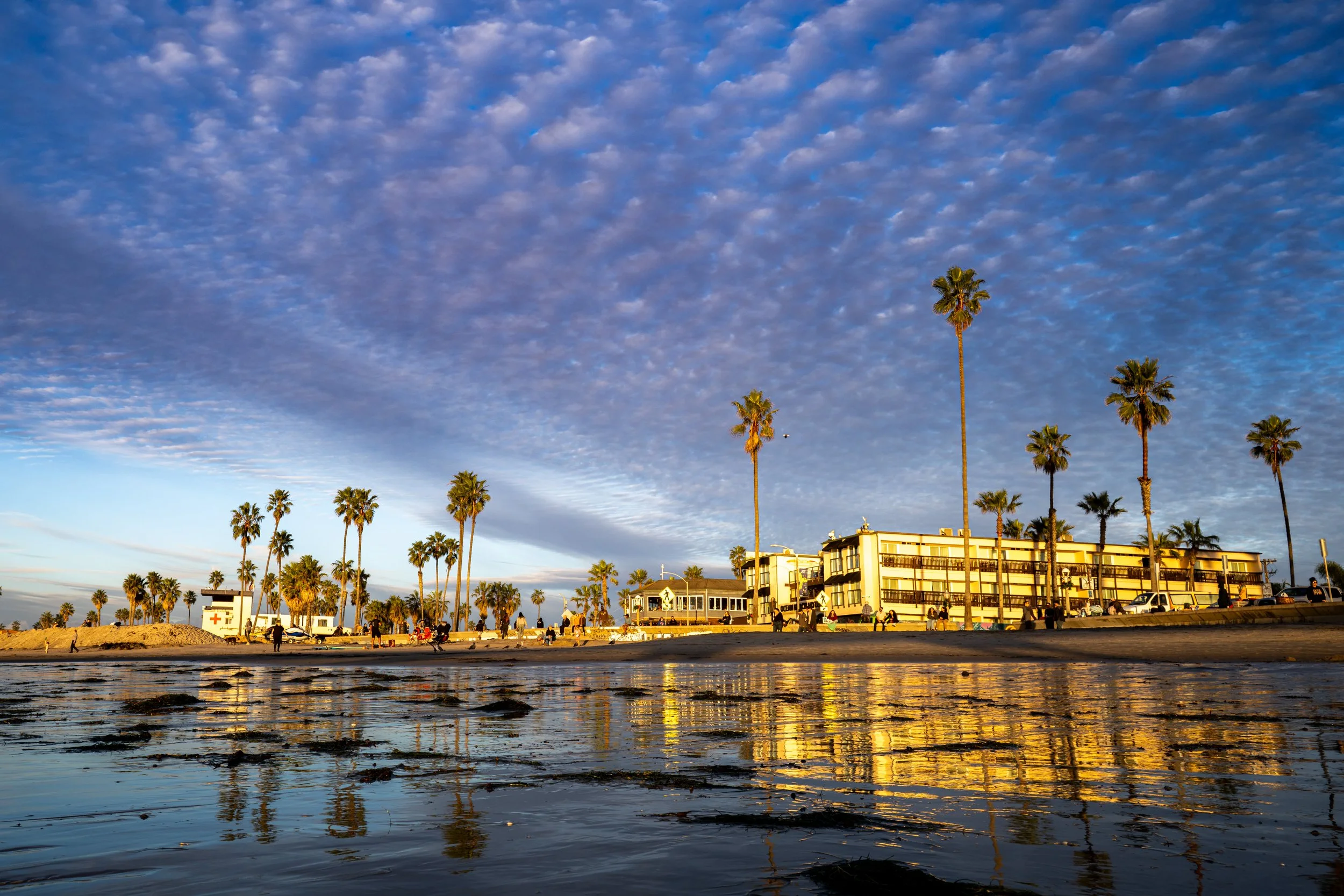 Beach scene during sunset with palm trees, buildings, and a cloudy sky reflected in the water.
