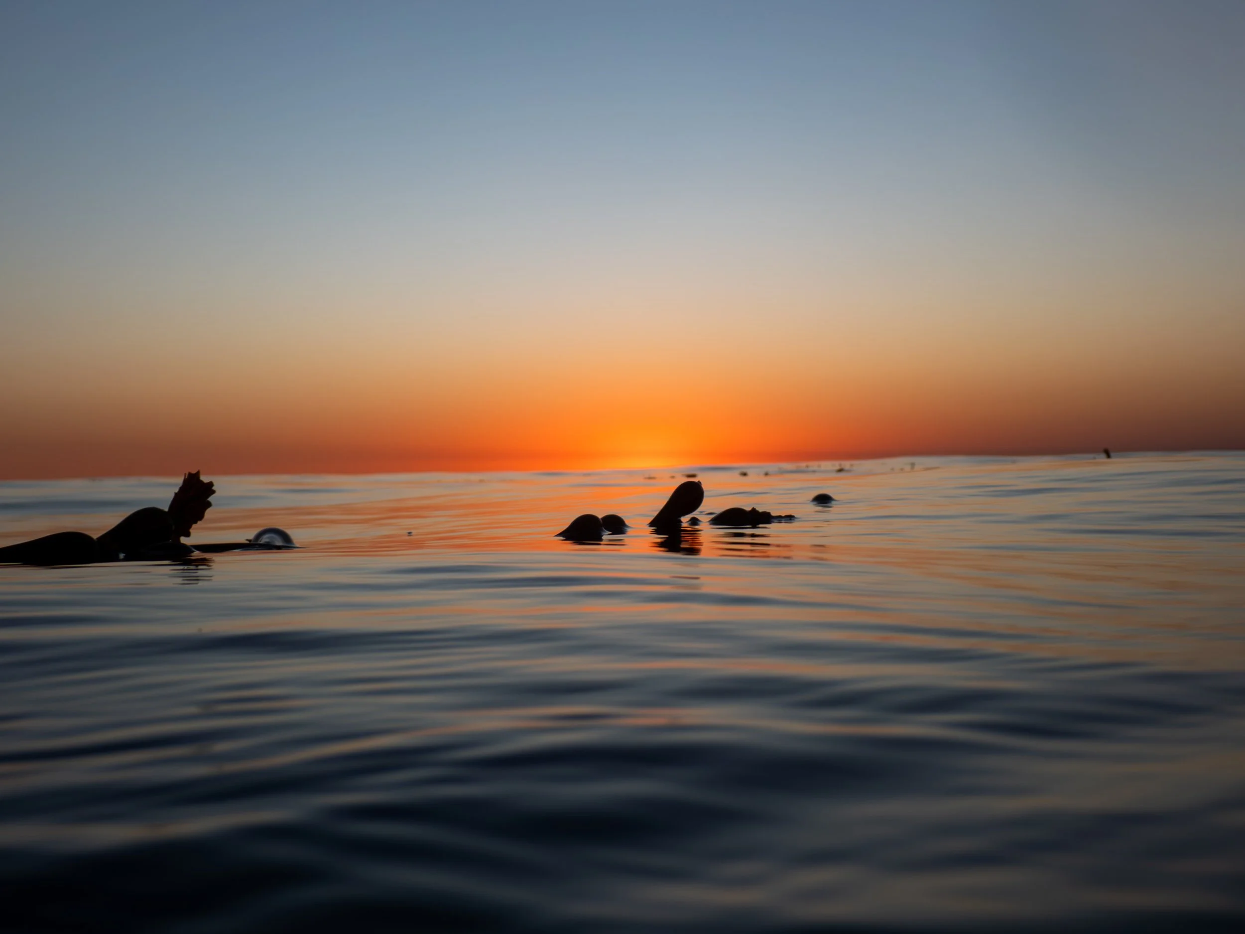 Diver's hand and gear submerged in calm ocean water during sunset.