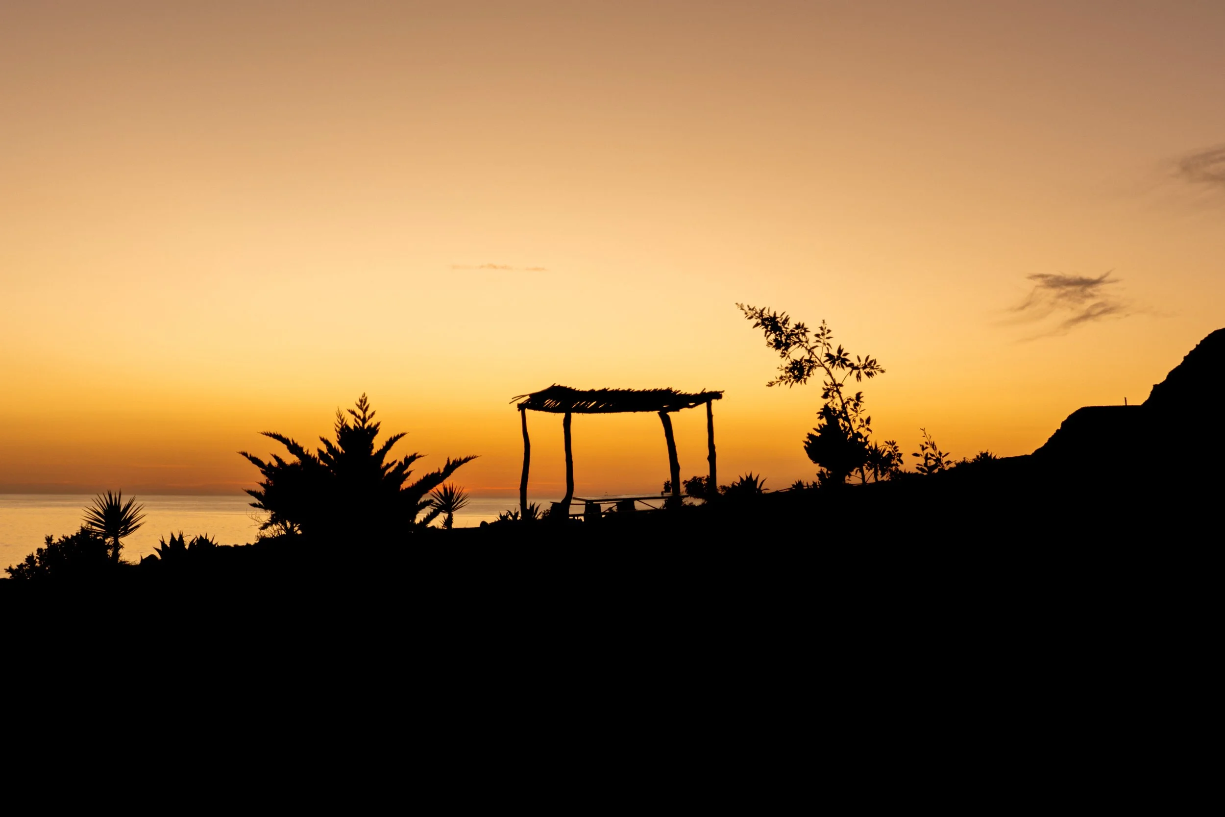 Silhouette of a small outdoor shelter on a hill overlooking the ocean at sunset, with various trees and plants in the foreground.