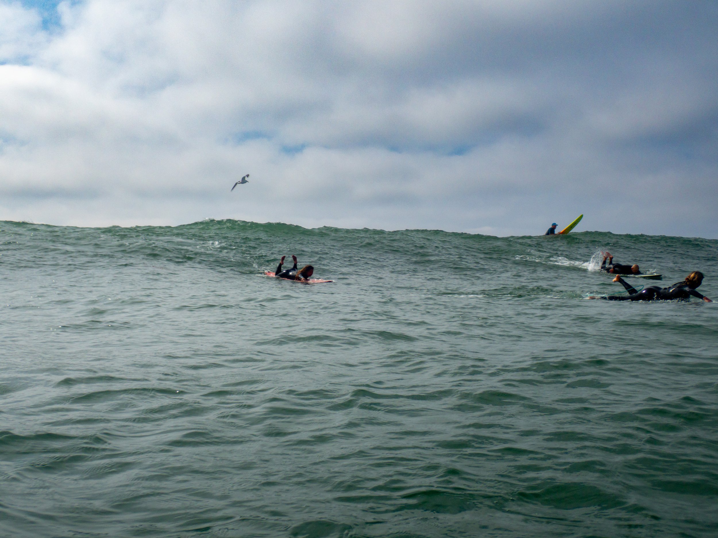 People surfing in the ocean with a cloudy sky and a seagull flying above.
